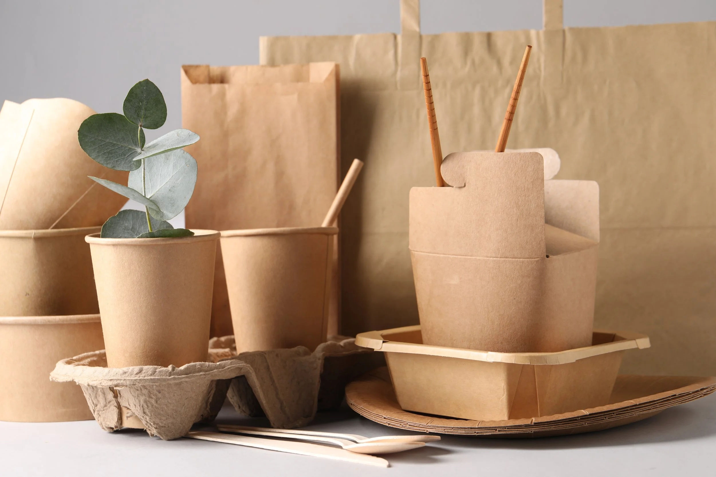 Various paper containers and trays, some with plant cuttings, on a white surface.