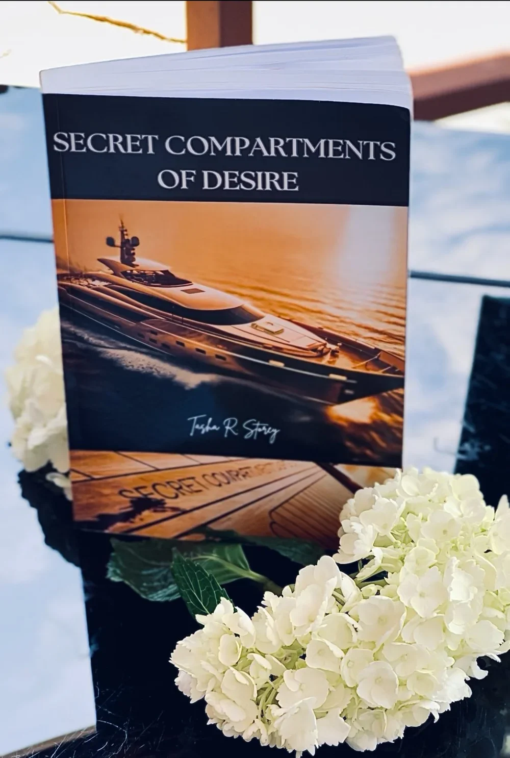 Secret Compartments of Desire - Hardcover