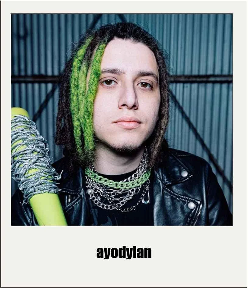 Musicians & Bands