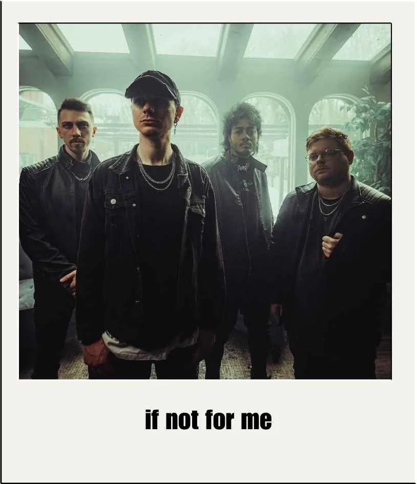 Musicians & Bands