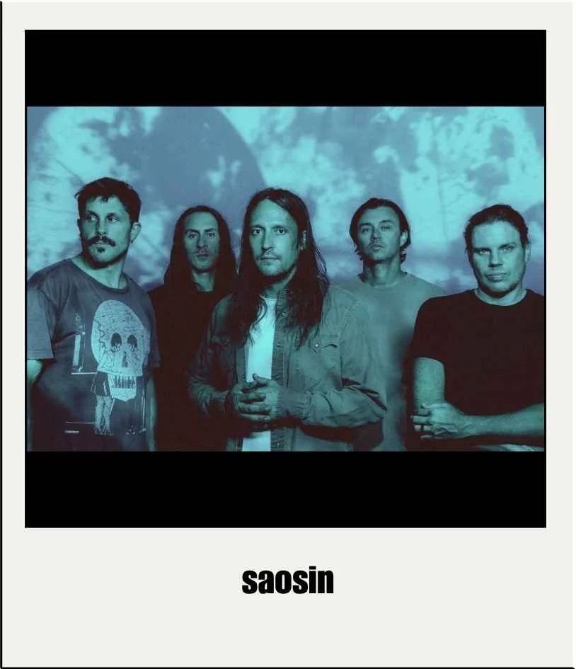 Musicians & Bands