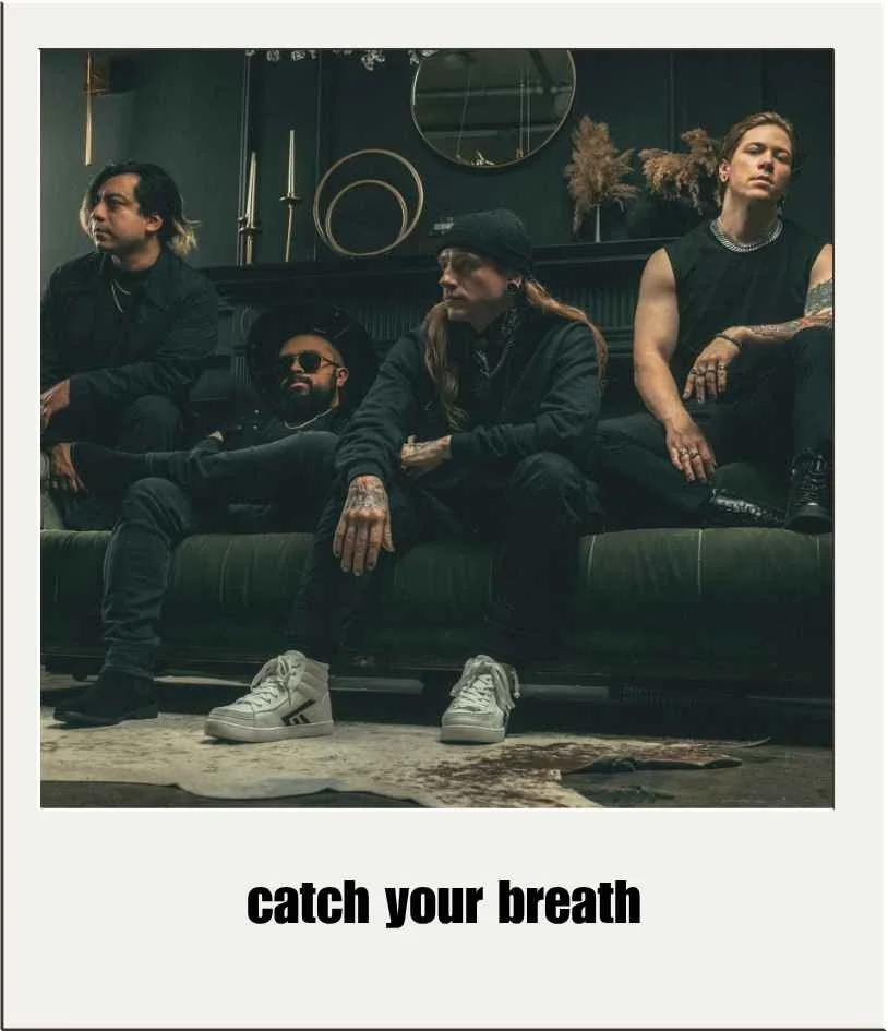 Musicians & Bands