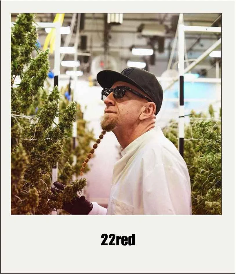 22Red