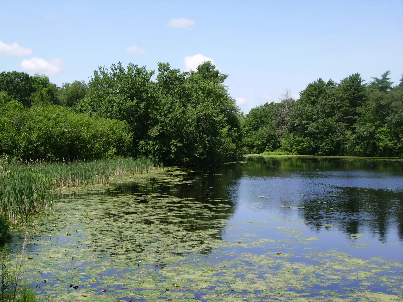 Stoney Brook Reservation#1.jpg