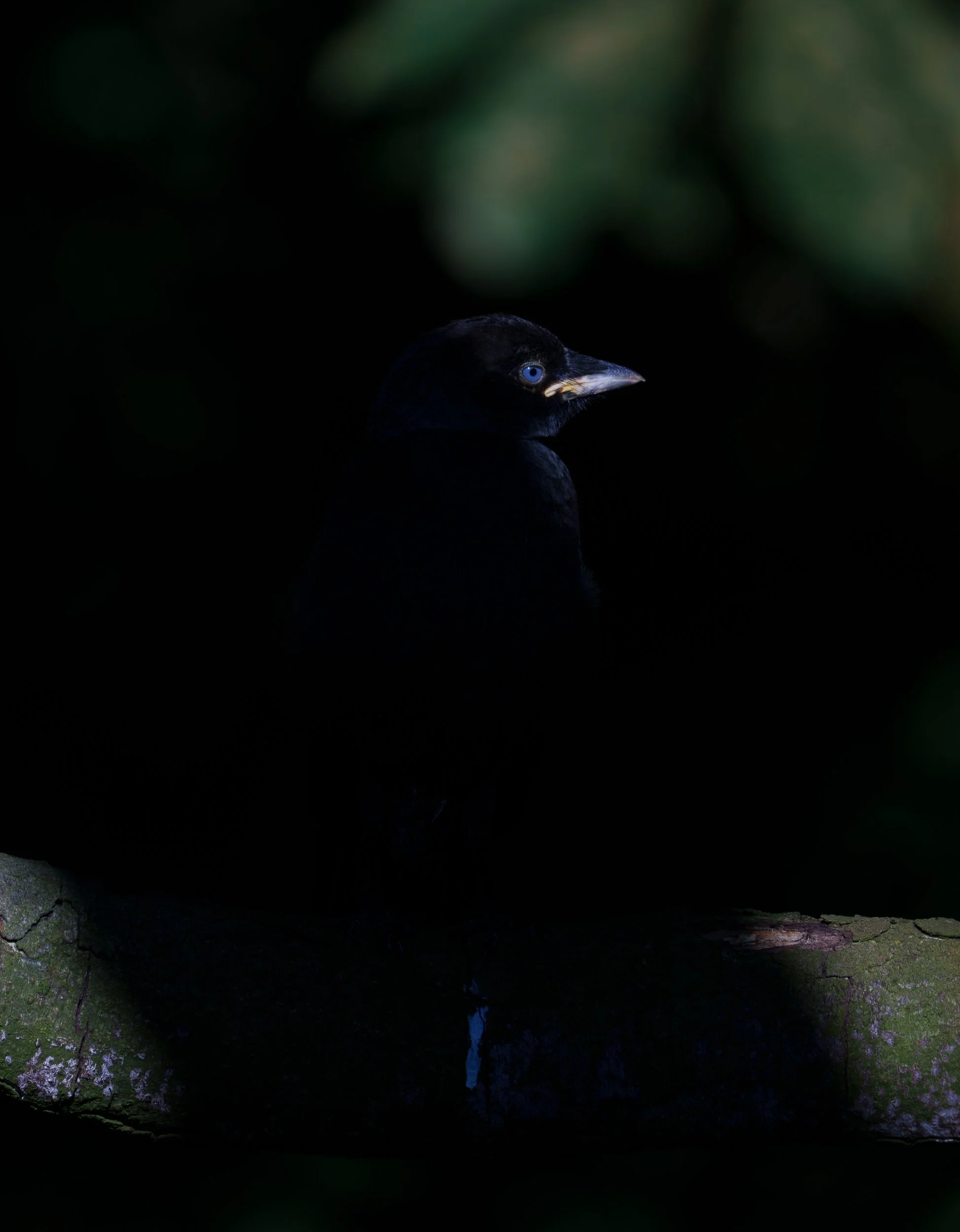 A7R05960.jpg