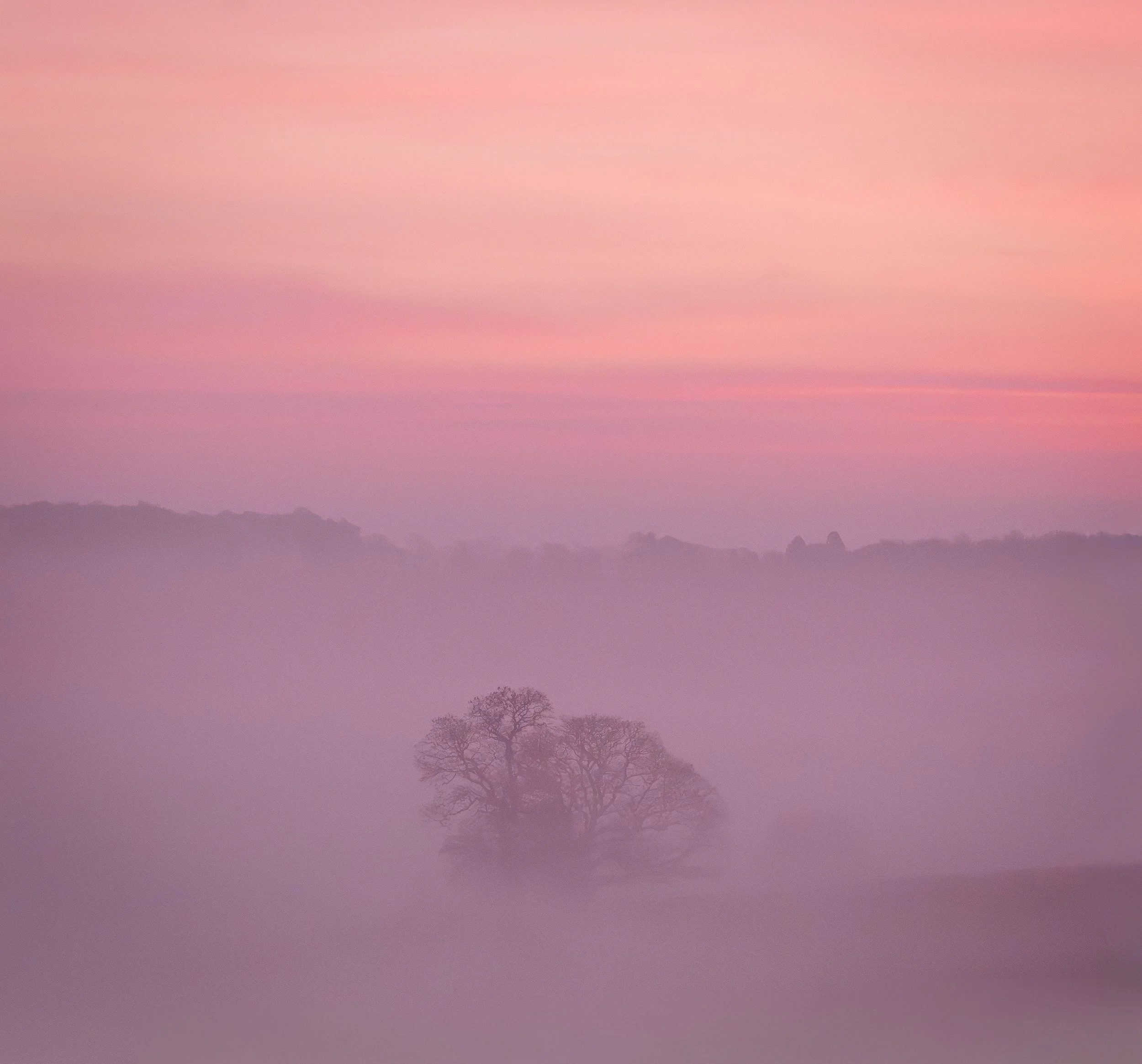 A7R04045.jpg