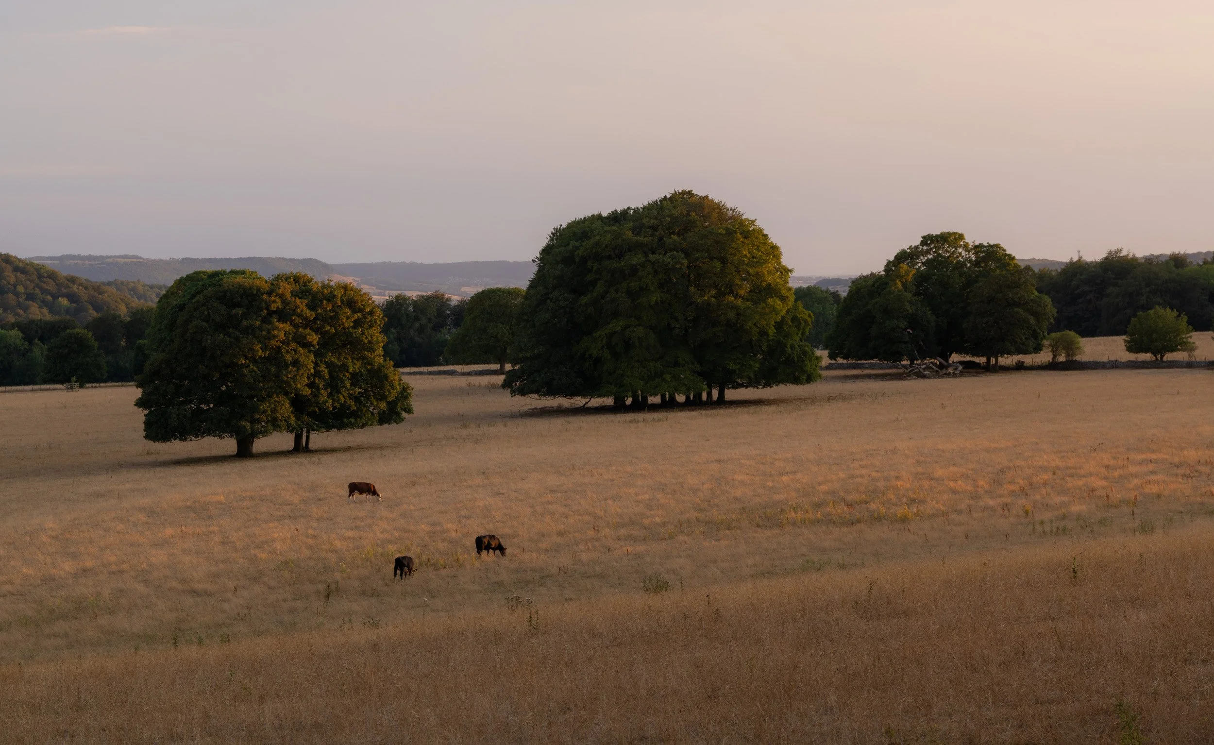 A7R07152.jpg