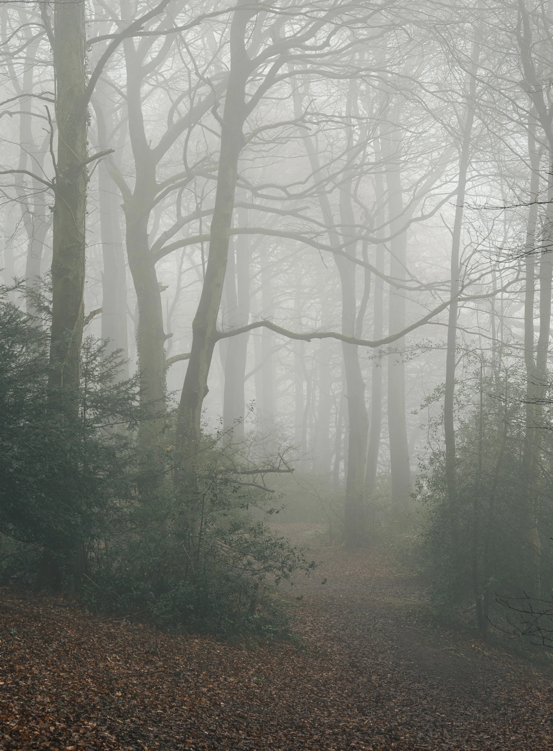 A7R03831.jpg