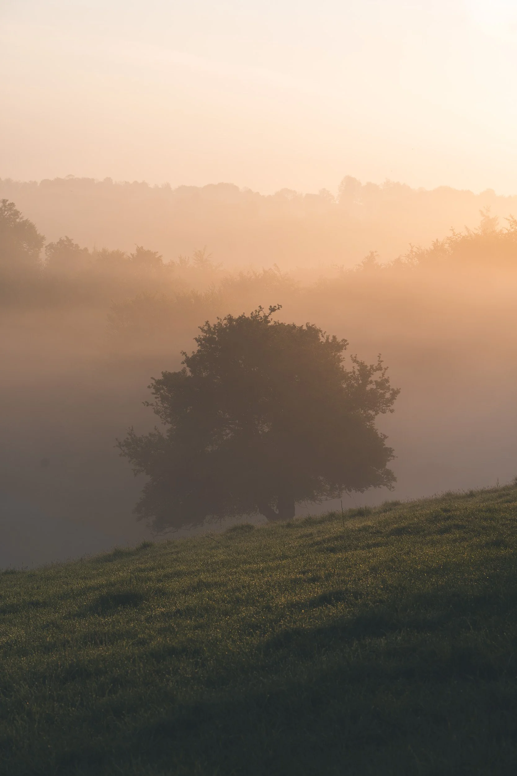 A7R05147.jpg