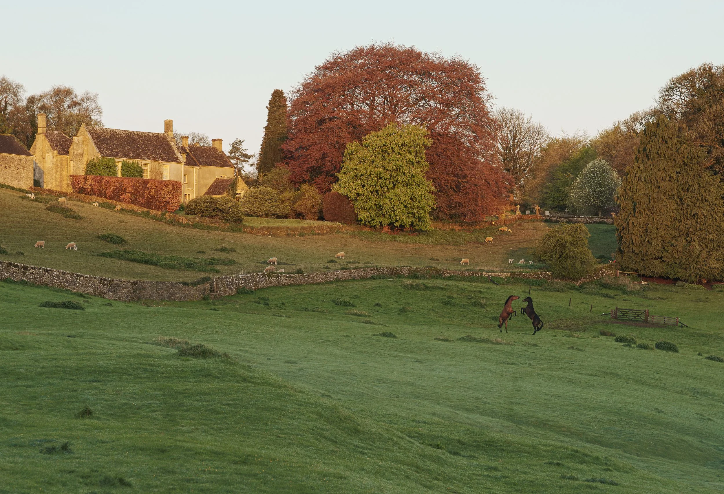 A pastoral landscape with green fields, sheep grazing, colorful trees with autumn foliage, and a country house in the background.