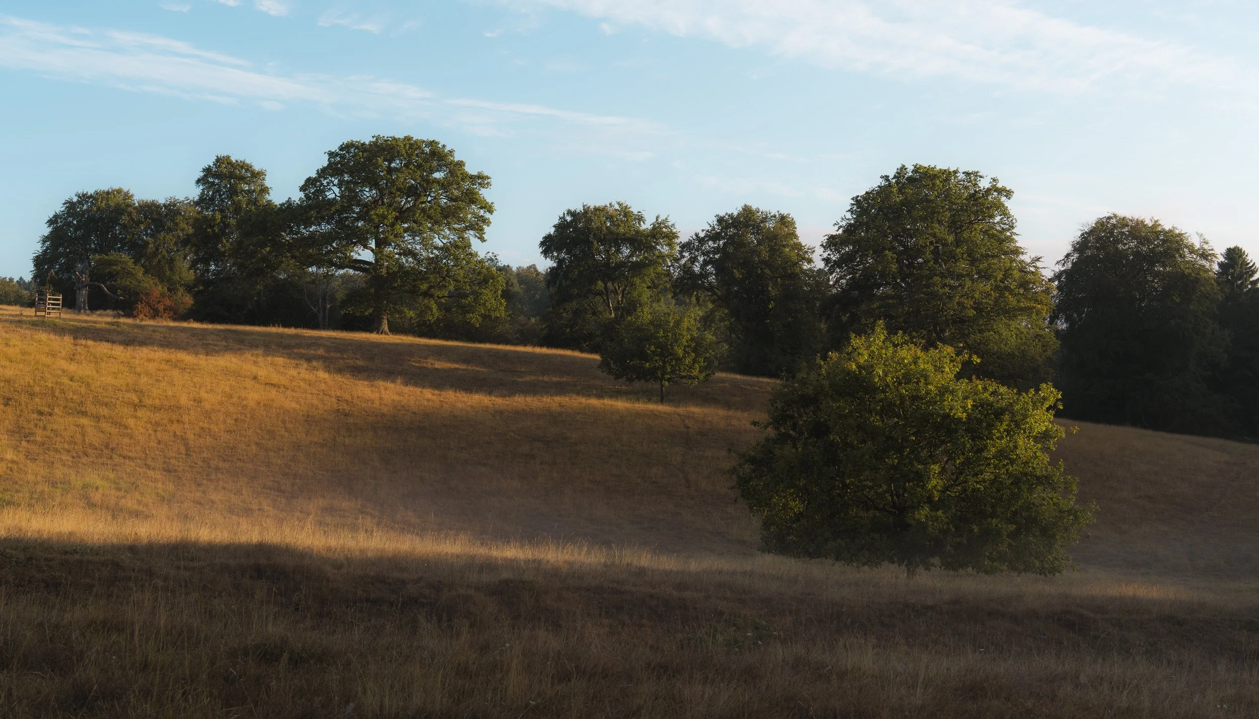 A7R07512.jpg