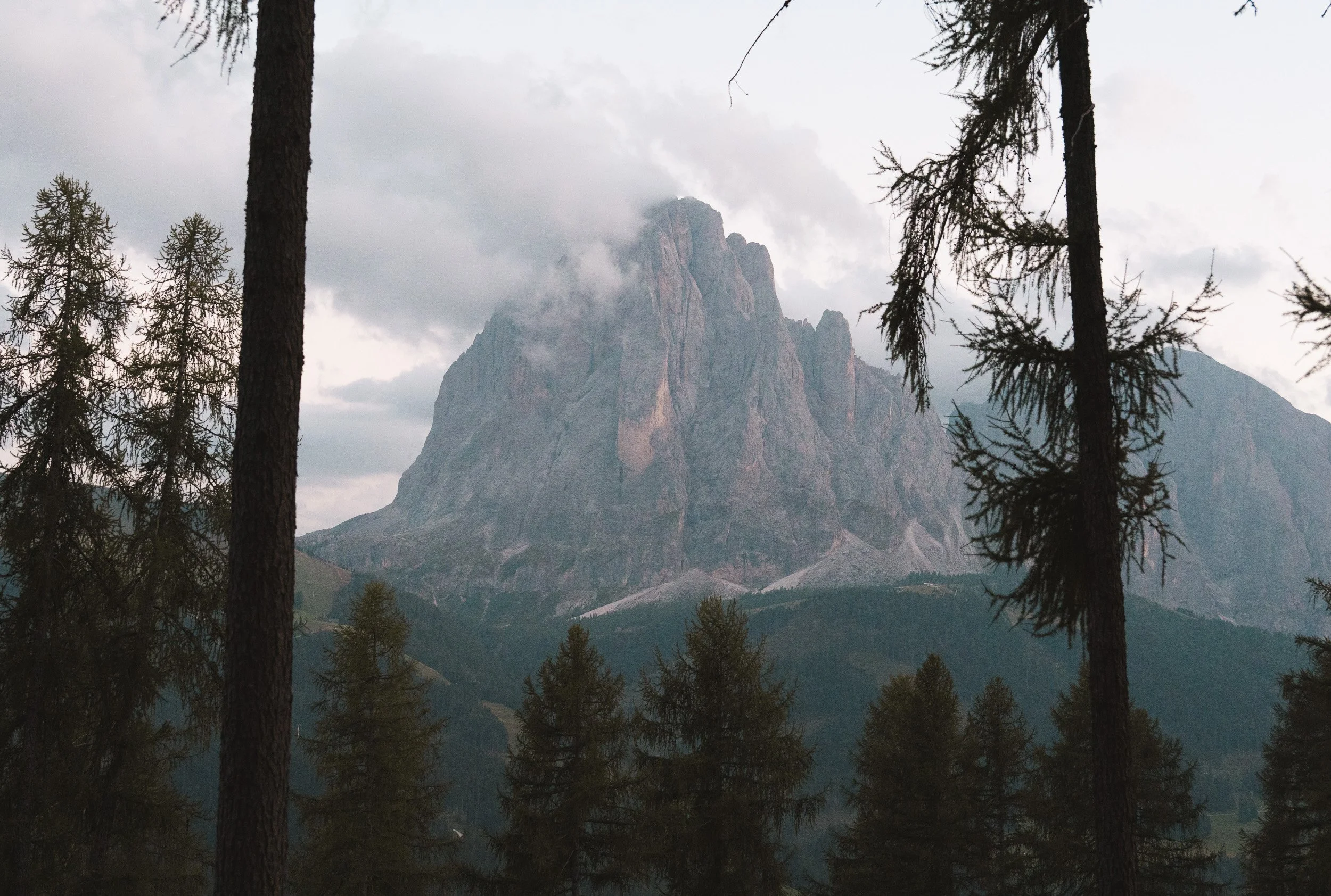 Seceda, Dolomites, italy