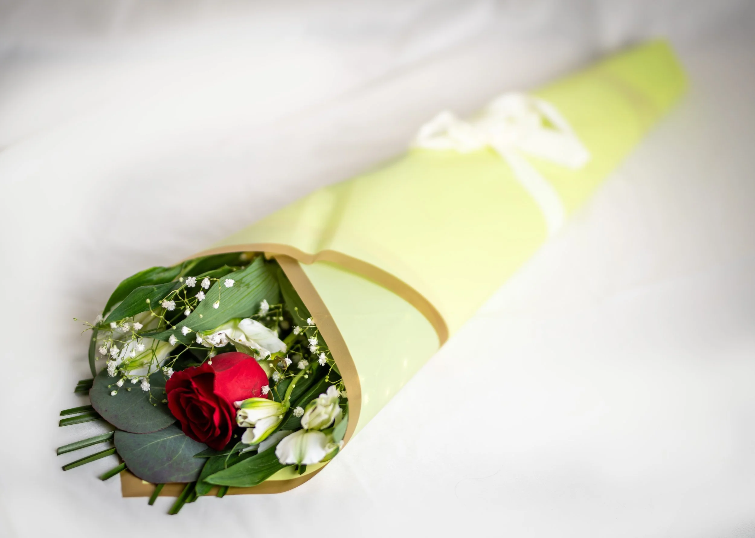 wrapped red rose.jpg