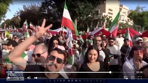 Crowd of people holding Iranian flags during a protest or demonstration.