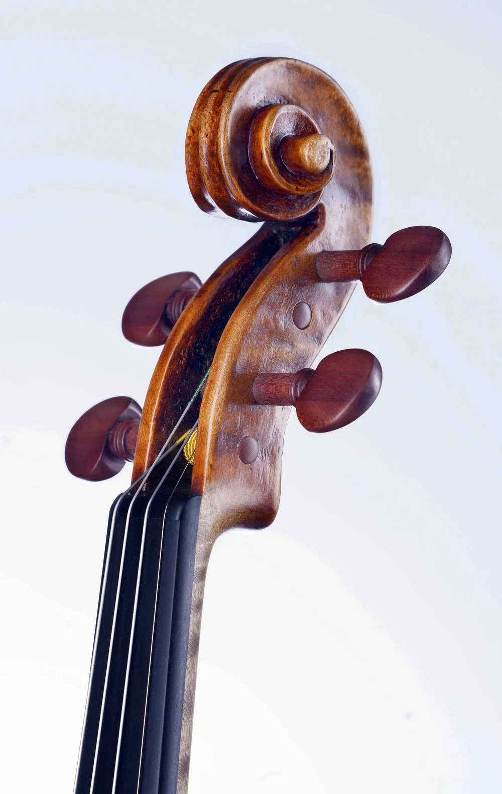 Close-up of a wooden violin scroll and tuning pegs against a light background.