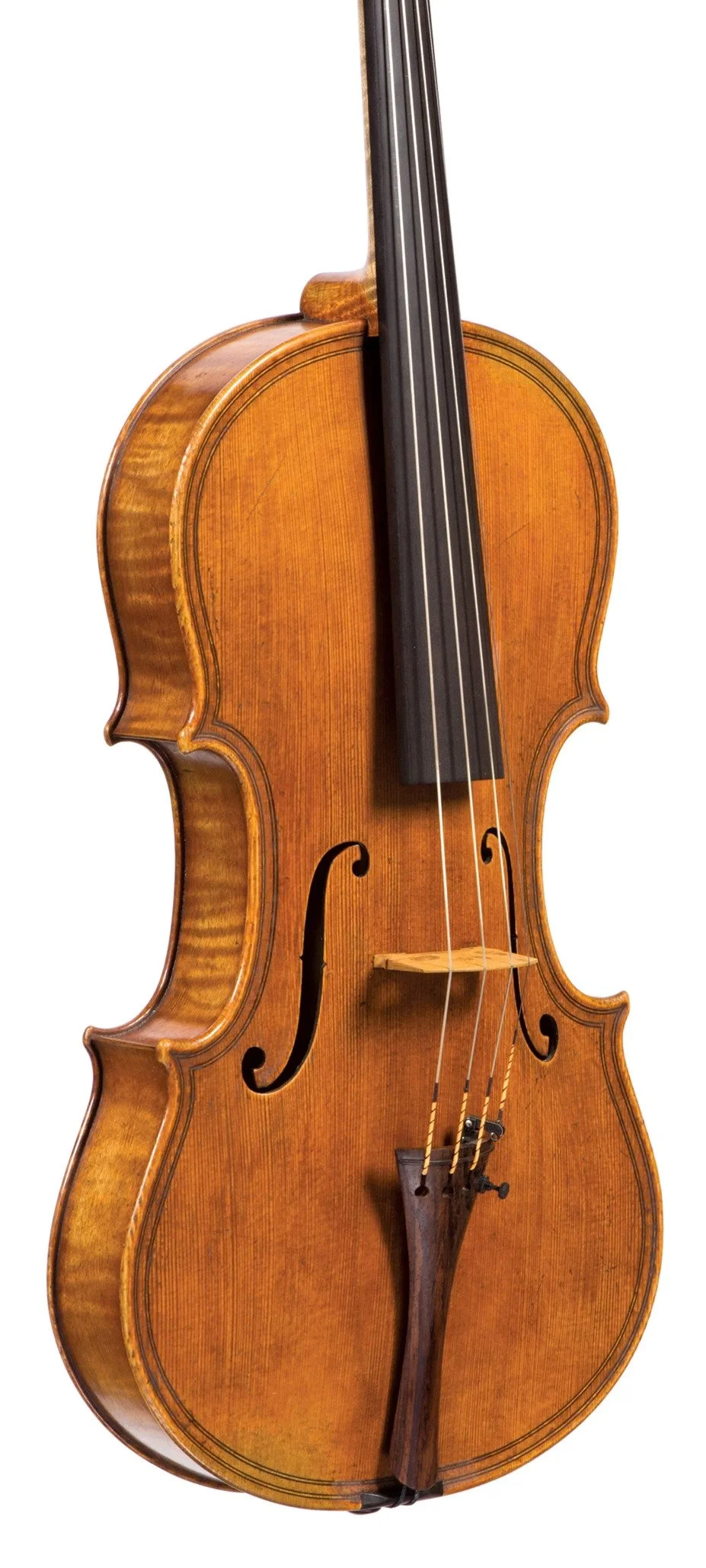 VIOLA