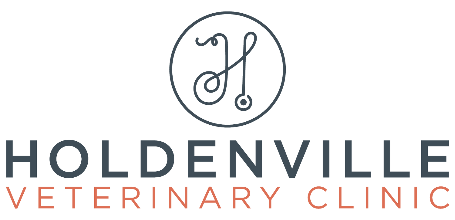 Holdenville Veterinary Clinic