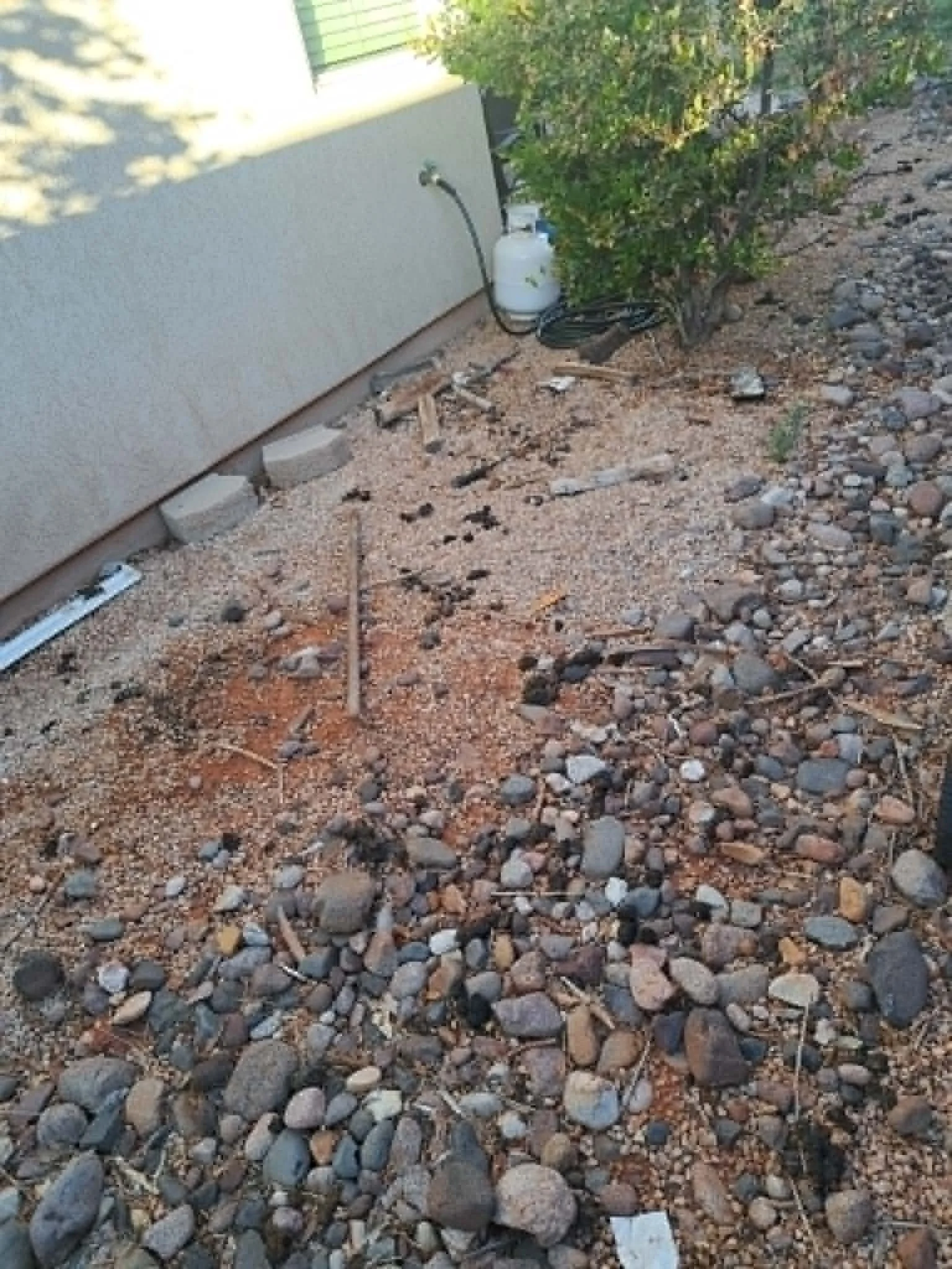 A patch of ground with tan gravel, larger rocks, and some debris, next to a small bush and a building wall with a water hose attached to a white propane tank.