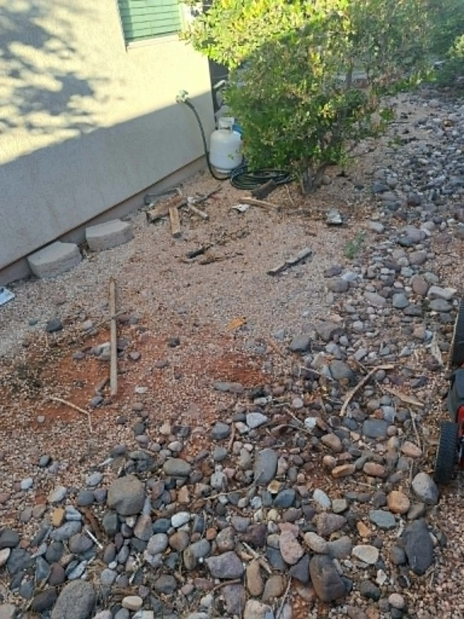 A gravel yard with small and large rocks, some wooden sticks, and a sprinkler system on the ground near a house wall with a bush.