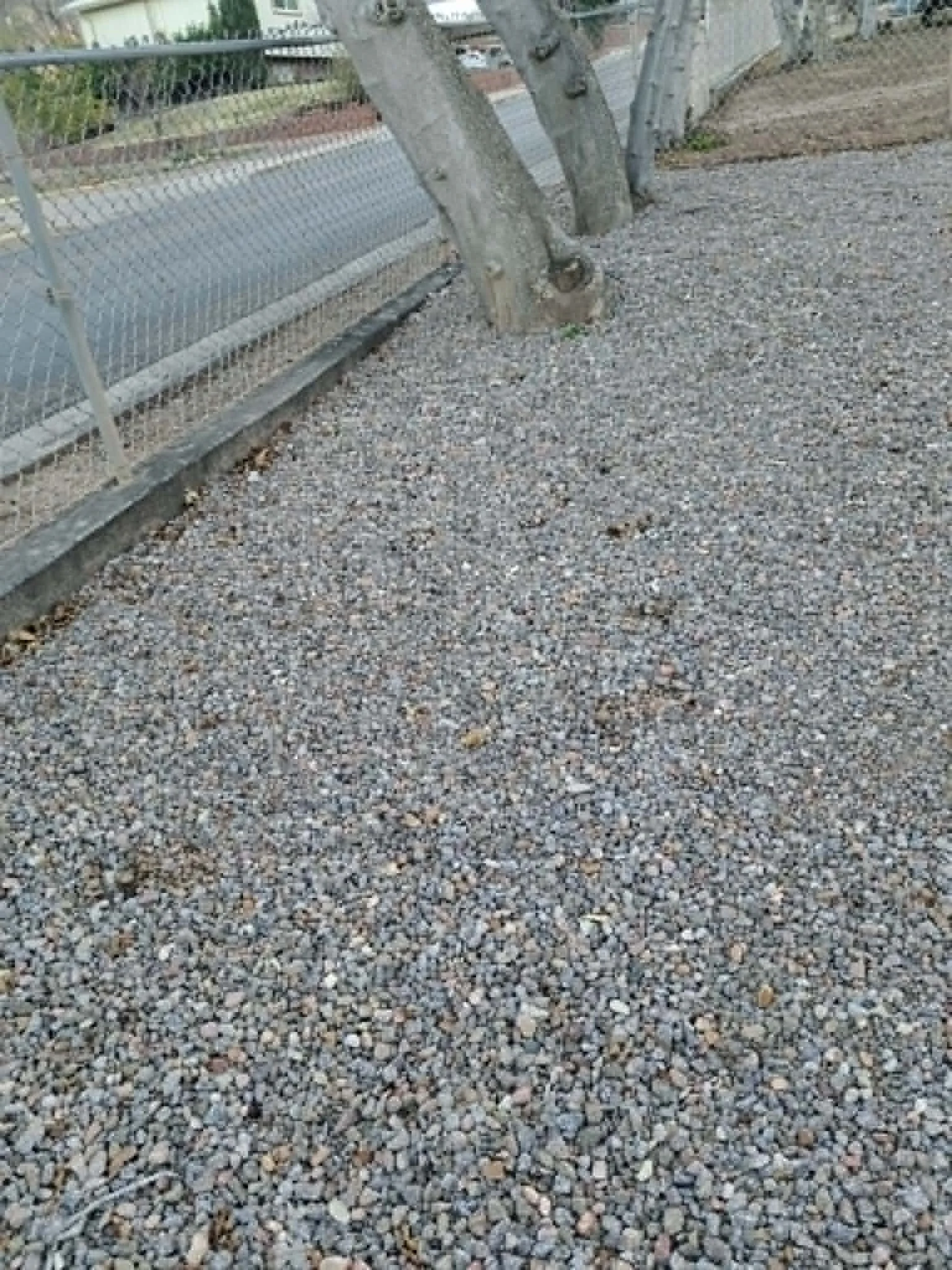 A gravel area with a tree and a metal fence in the background.