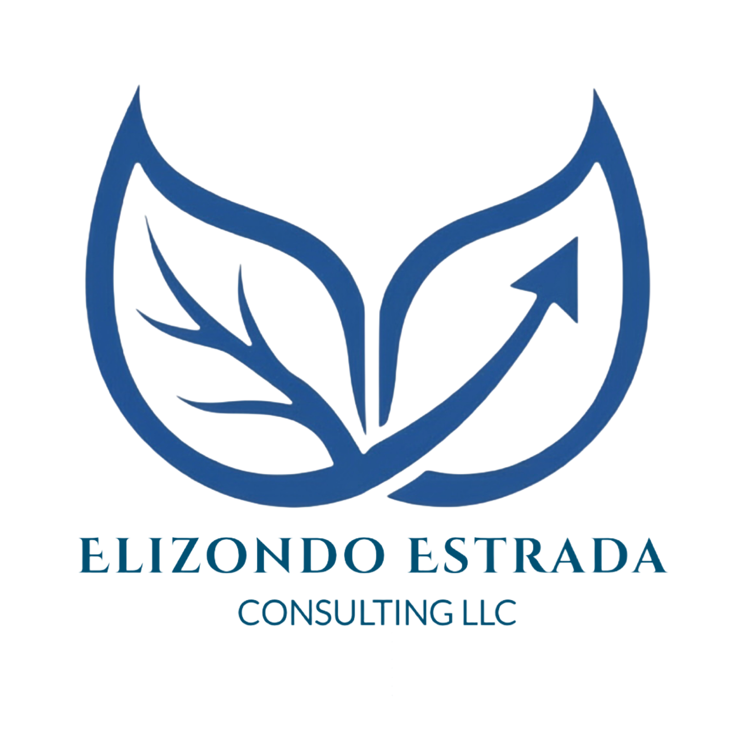 Elizondo Estrada Consulting LLC