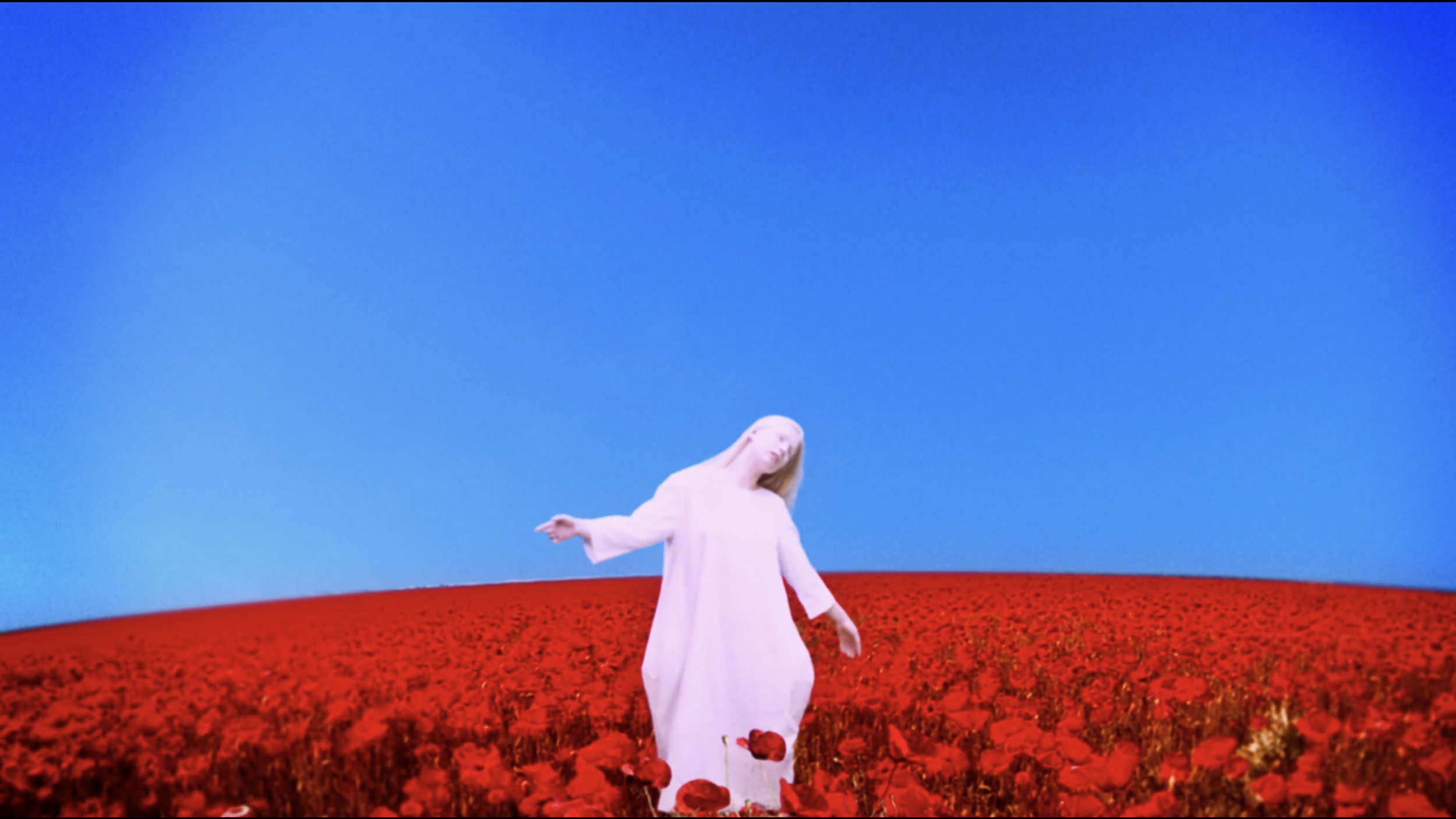 Zev Deans / Music Videos
