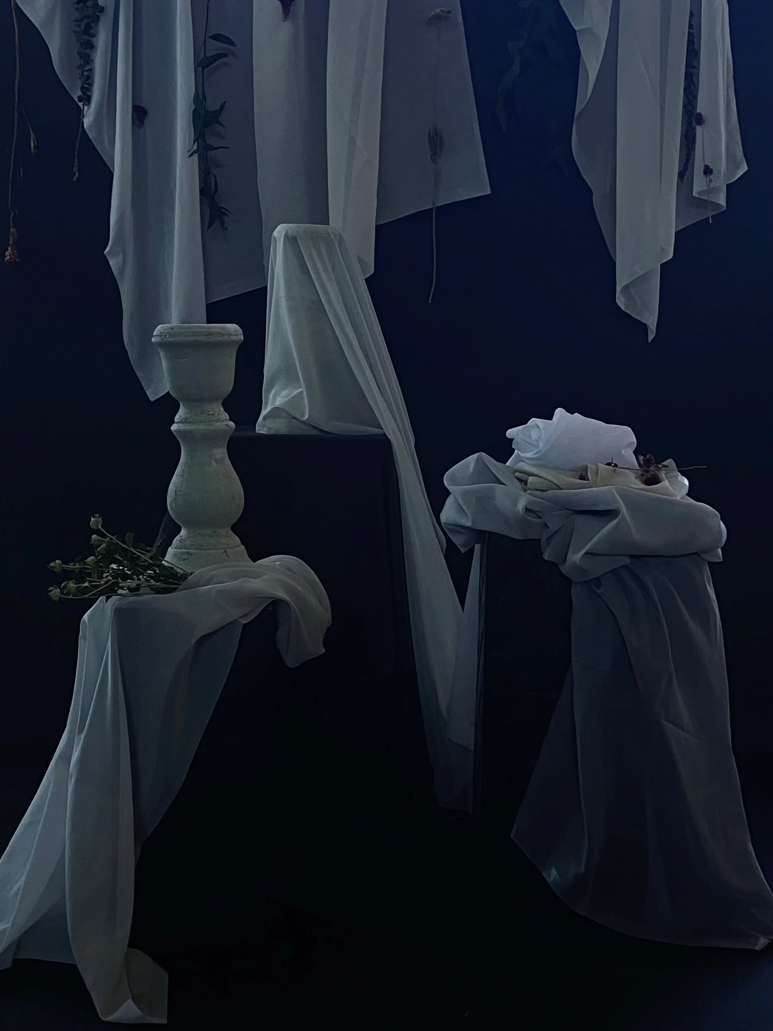 Maxwell Fabrics - SP22_Sheer-Basics_Photo 2.jpg