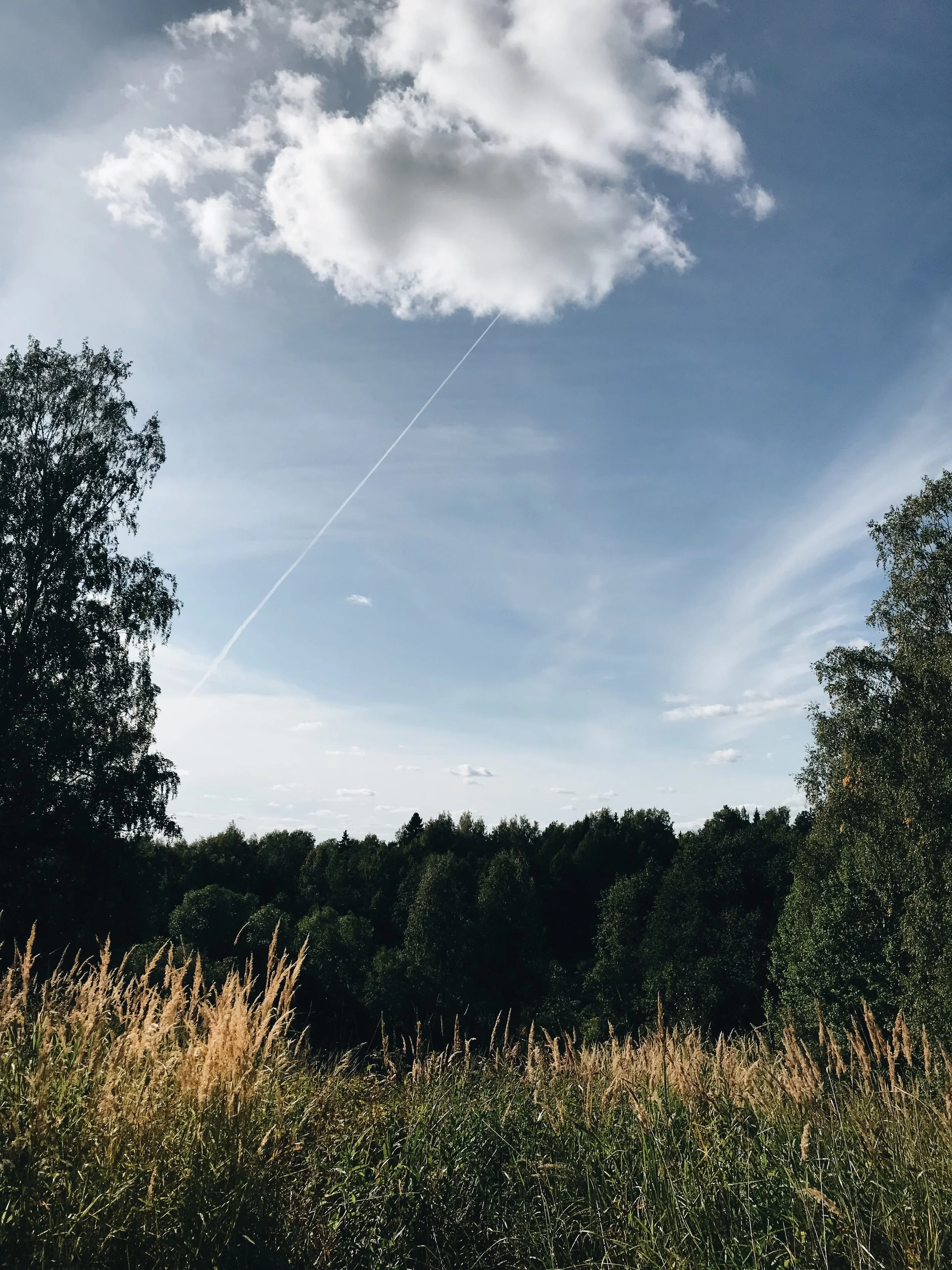 SEO palvelu yrittäjä