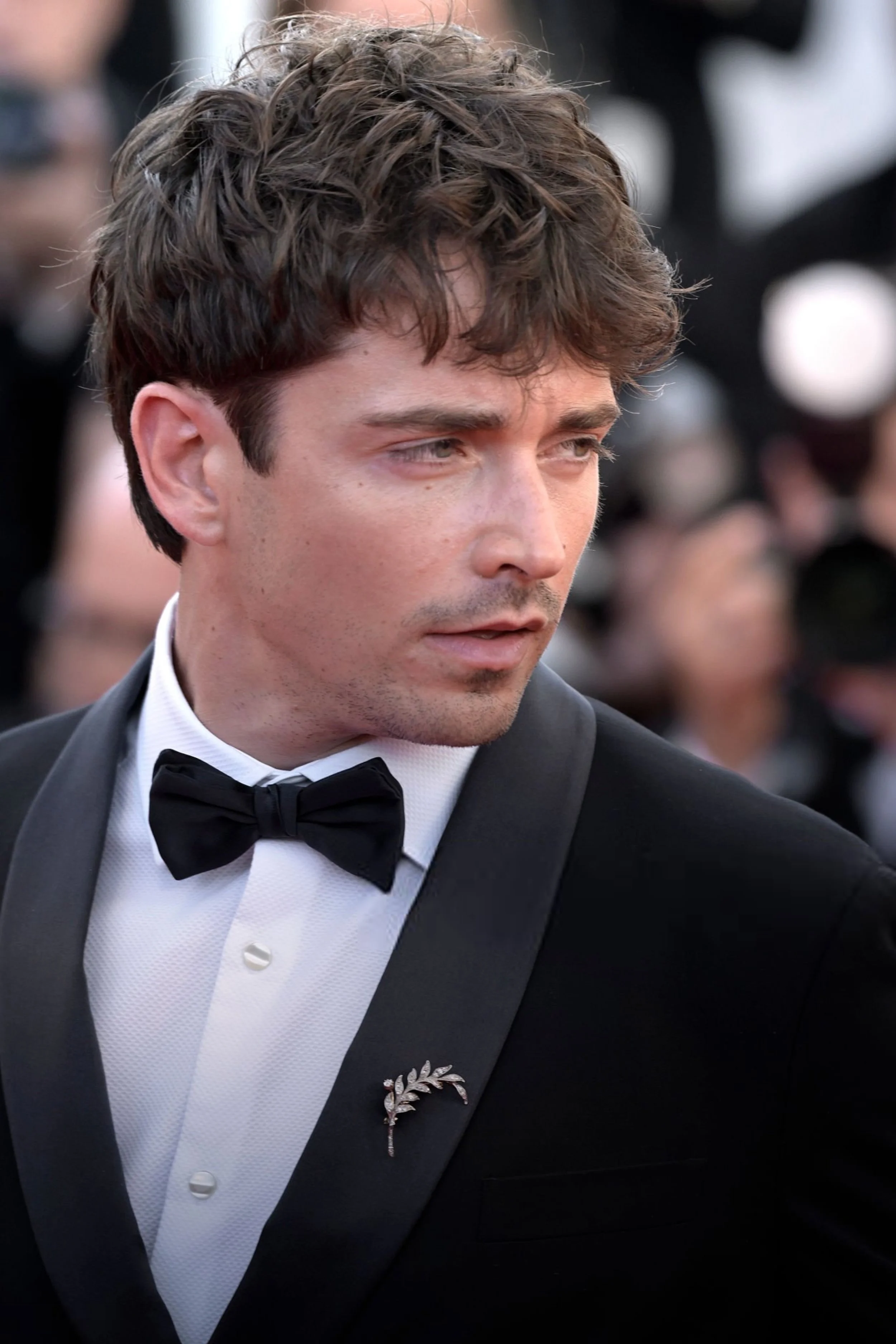 Cannes Film Festival 2026 Red Carpet (2).jpg