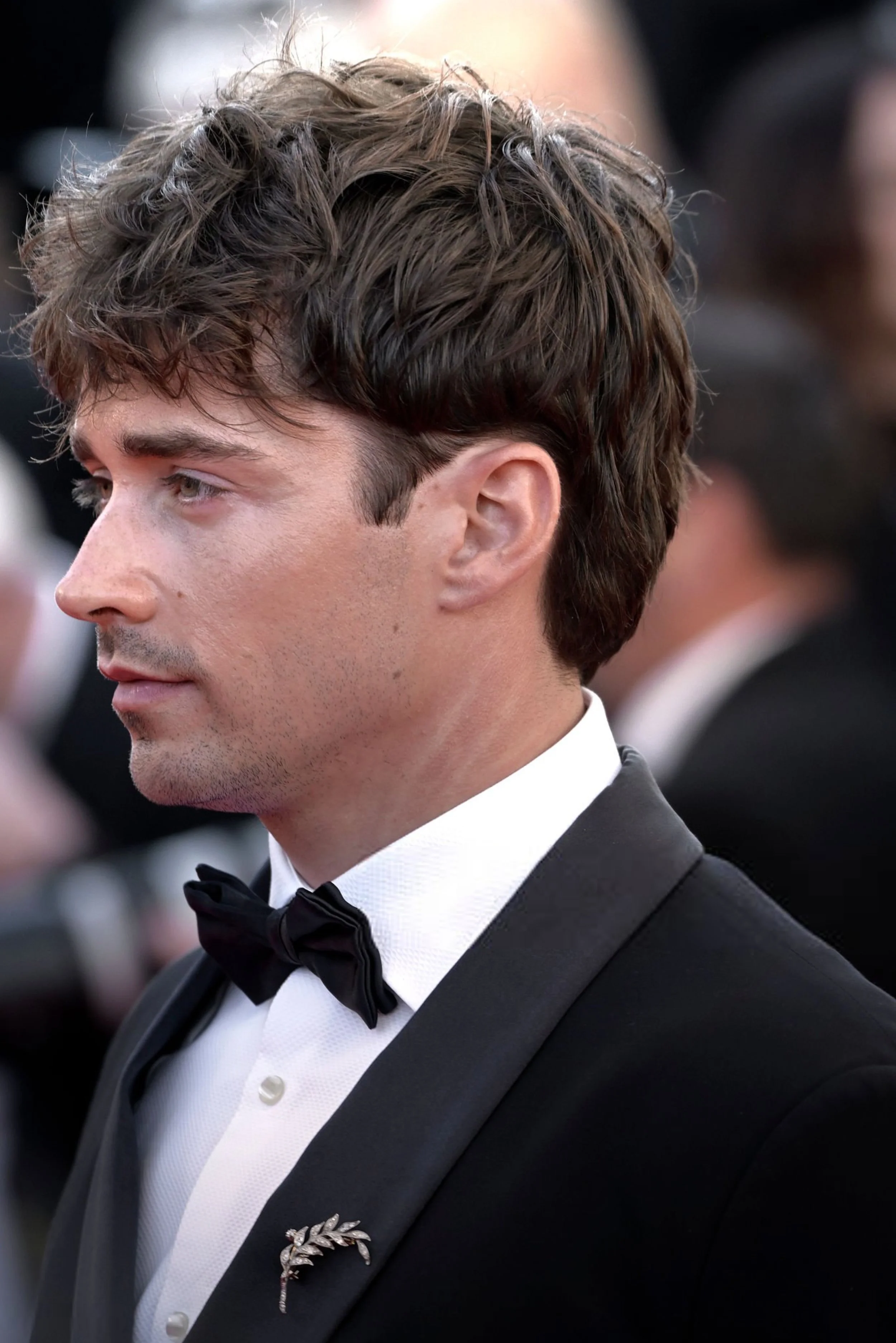 Cannes Film Festival 2026 Red Carpet (5).jpg
