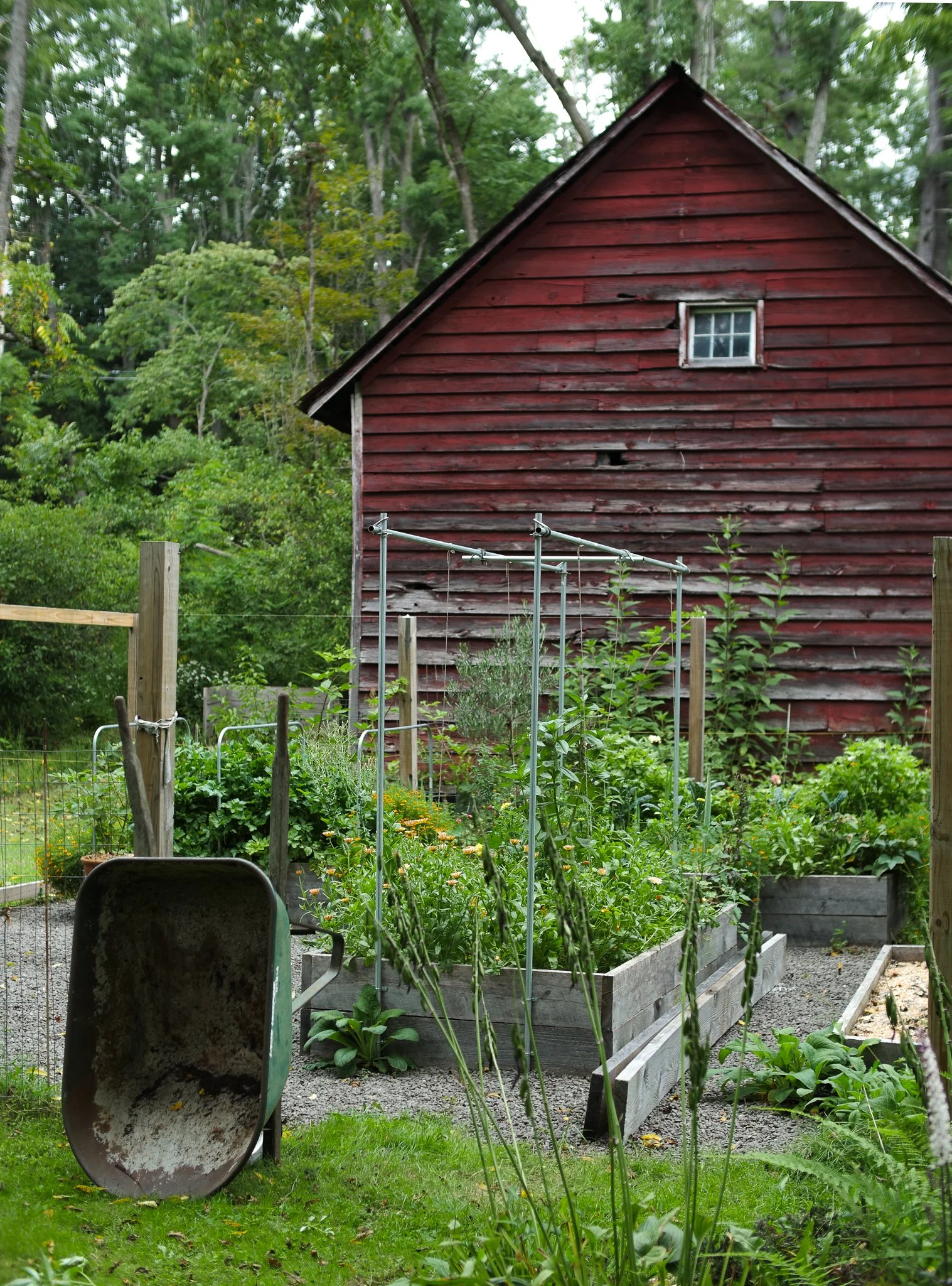 garden 26.jpg