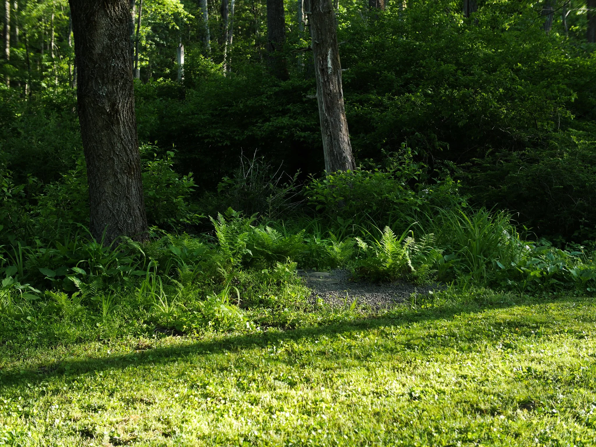 garden 11.jpg