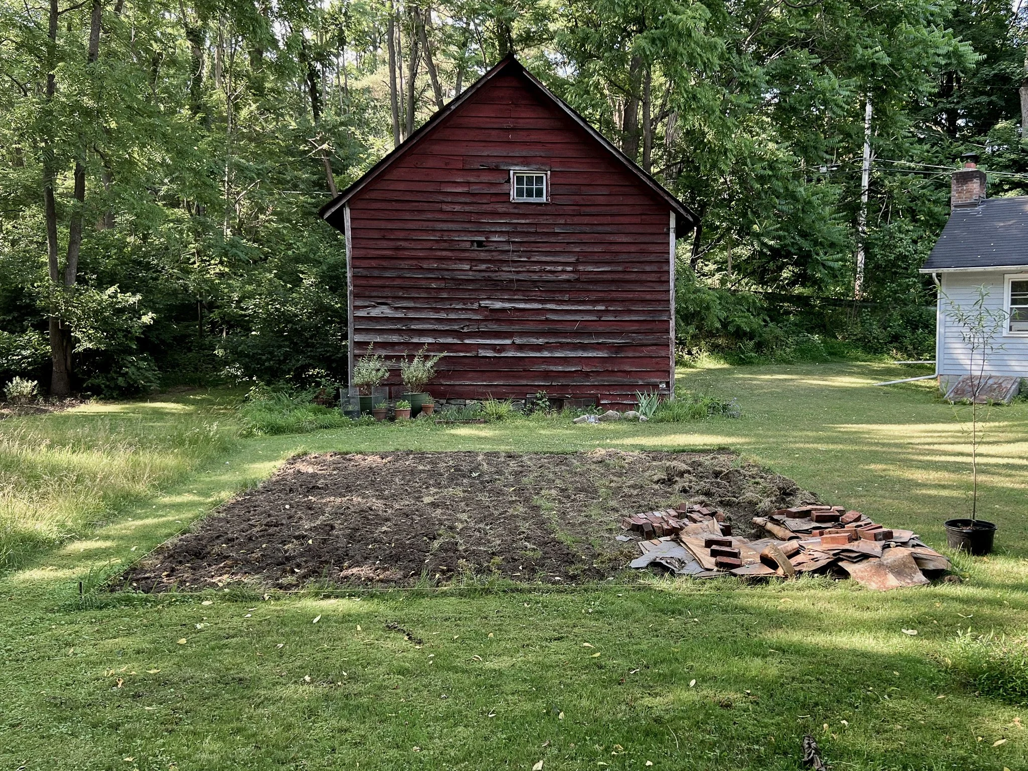 garden before-12.jpg