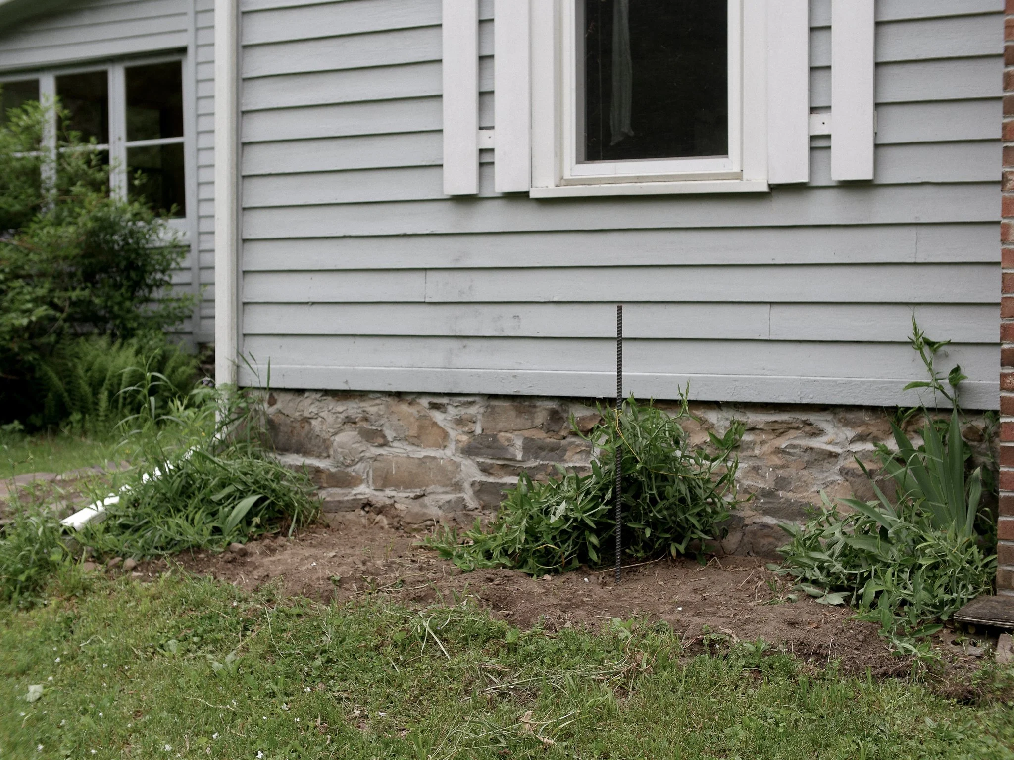 garden before-07.jpg