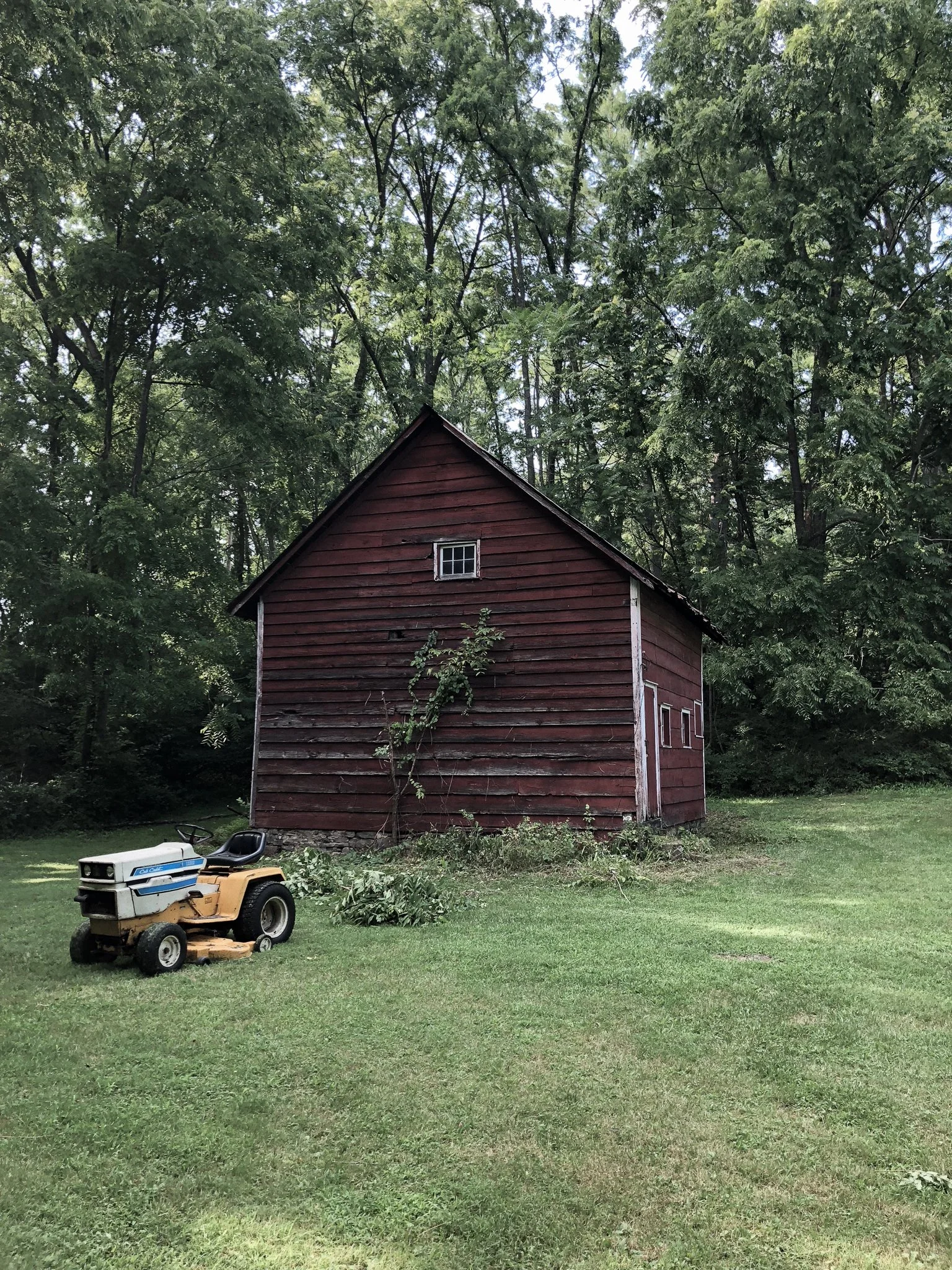 garden before-02.jpg