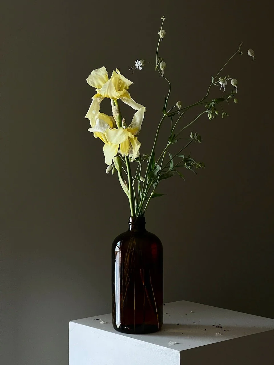 flowers 03.jpeg