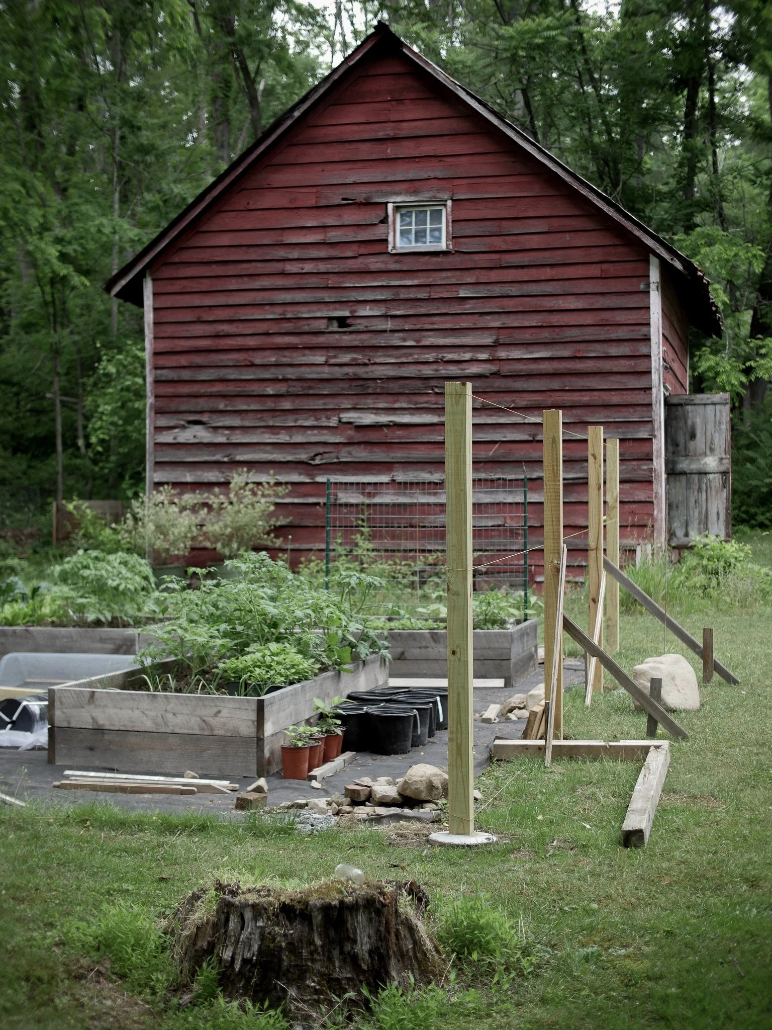 garden before-13.jpg
