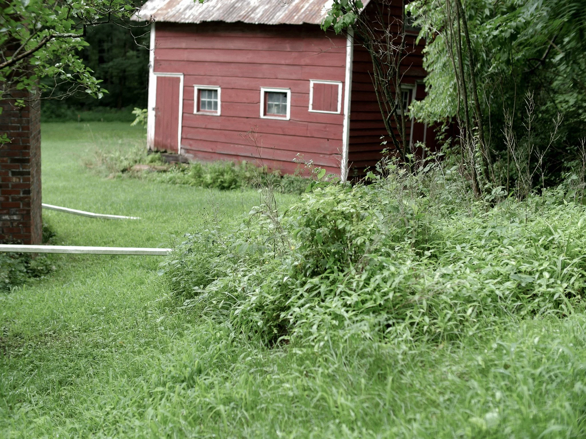 garden before-06.jpg