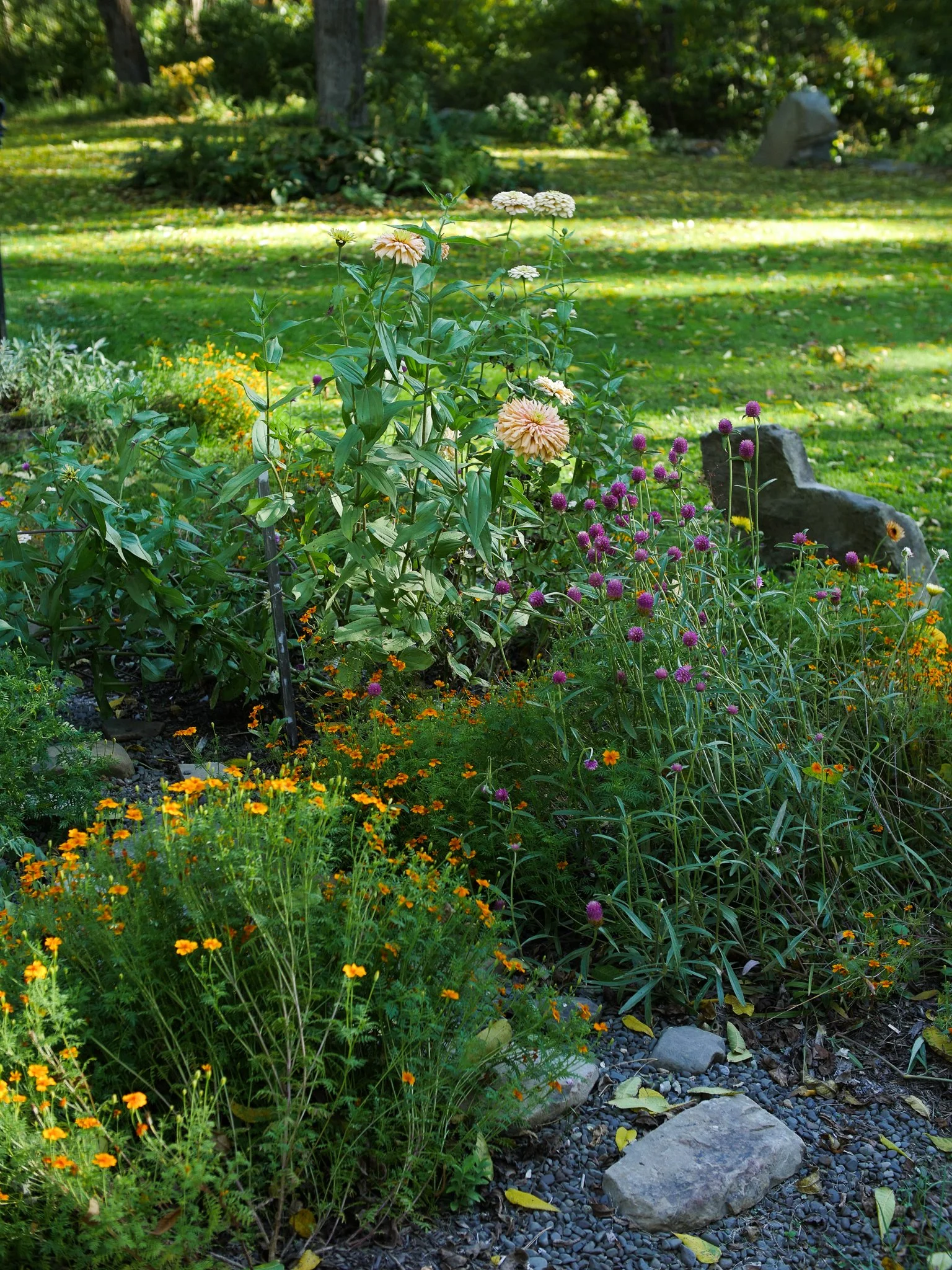 garden 30.jpg