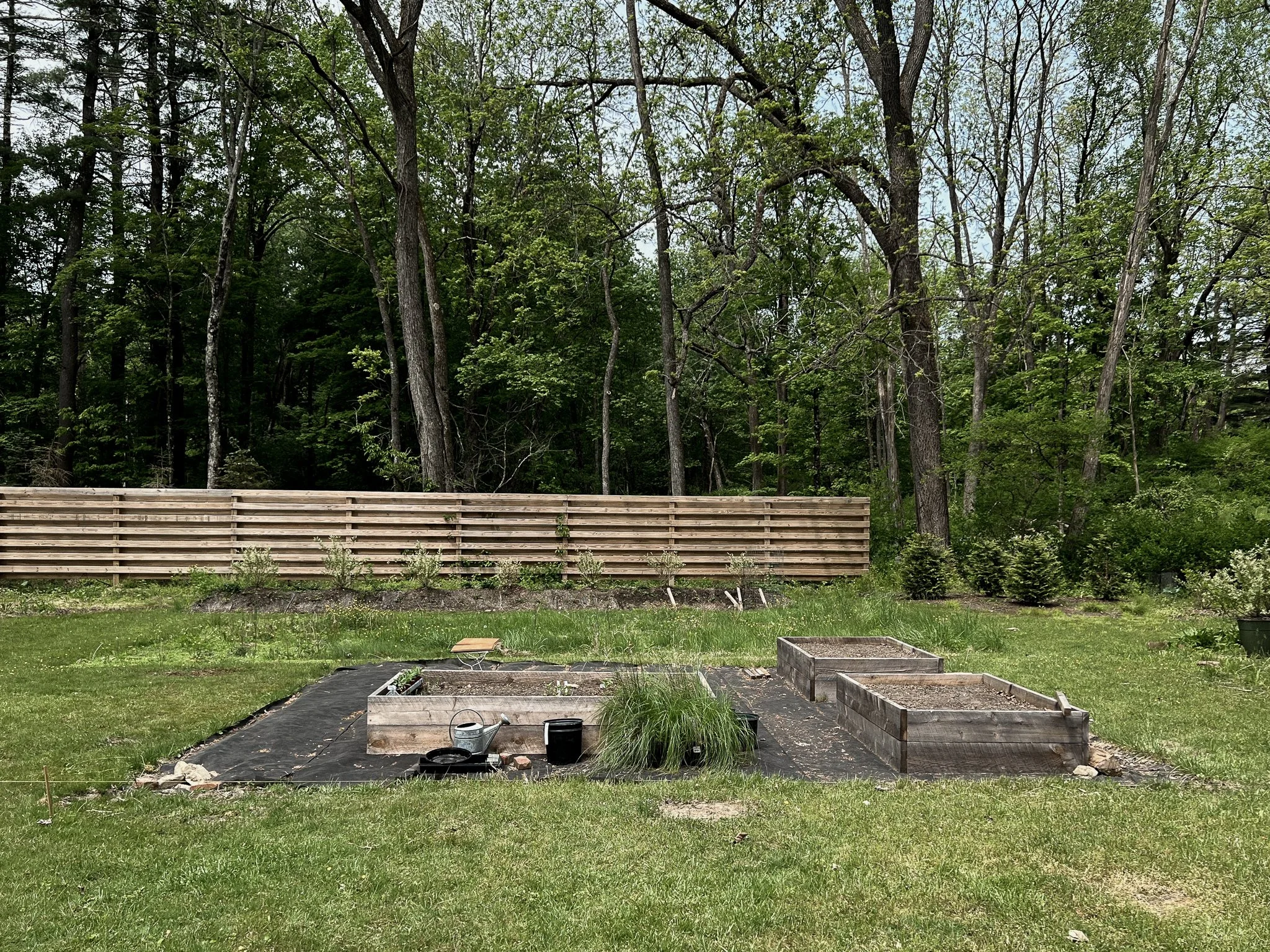 garden before-11.jpg