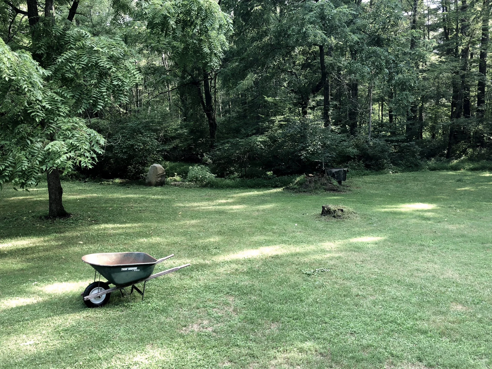 garden before-01.jpg