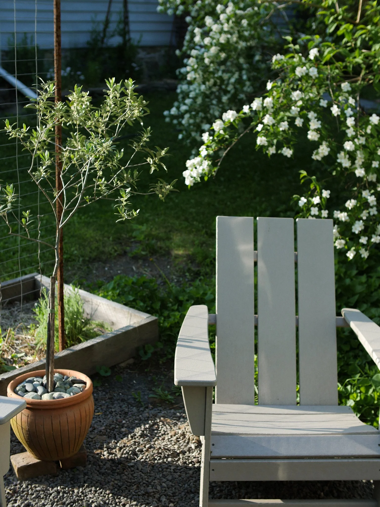 garden 10.jpg