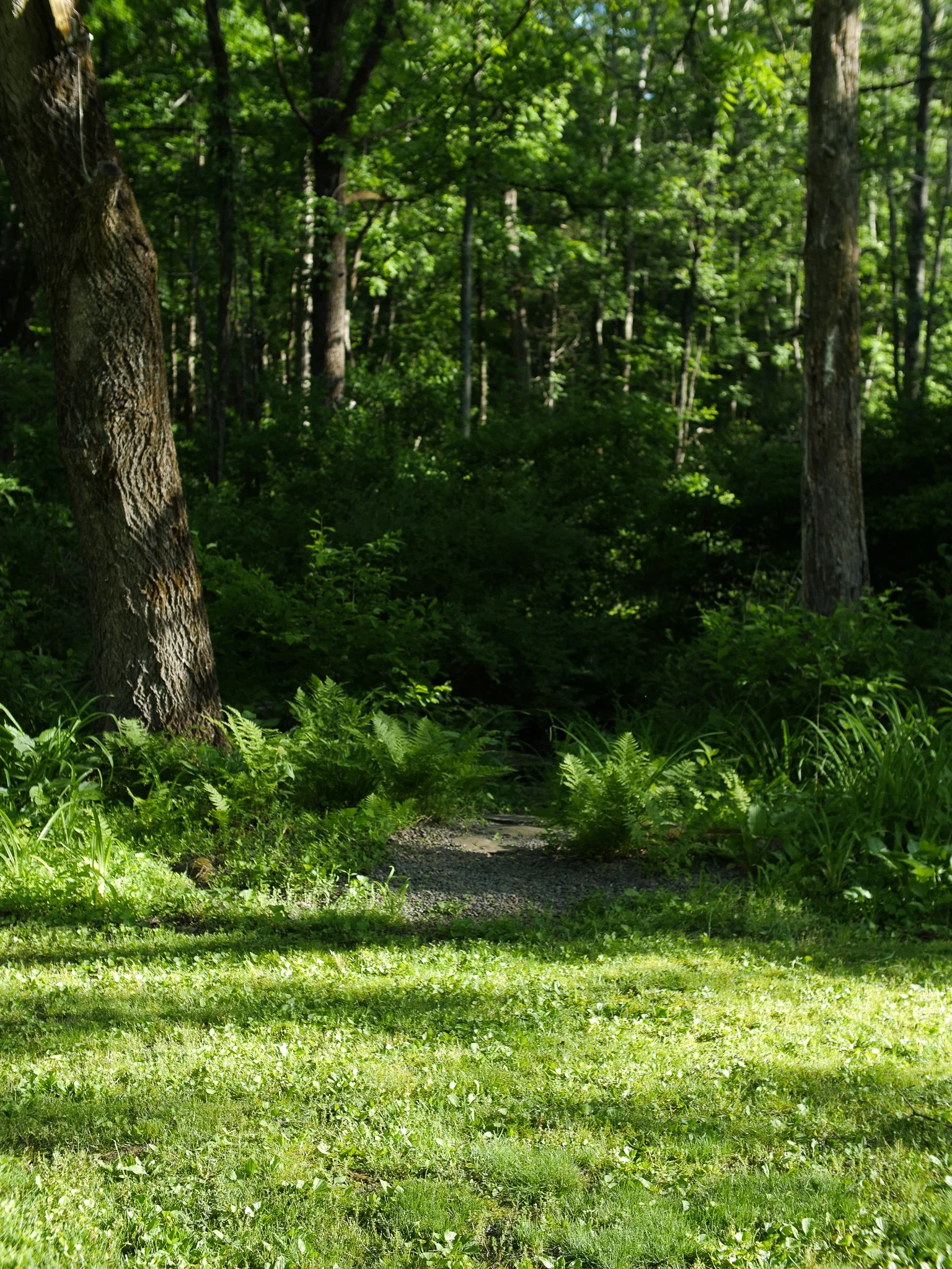 garden 04.jpg