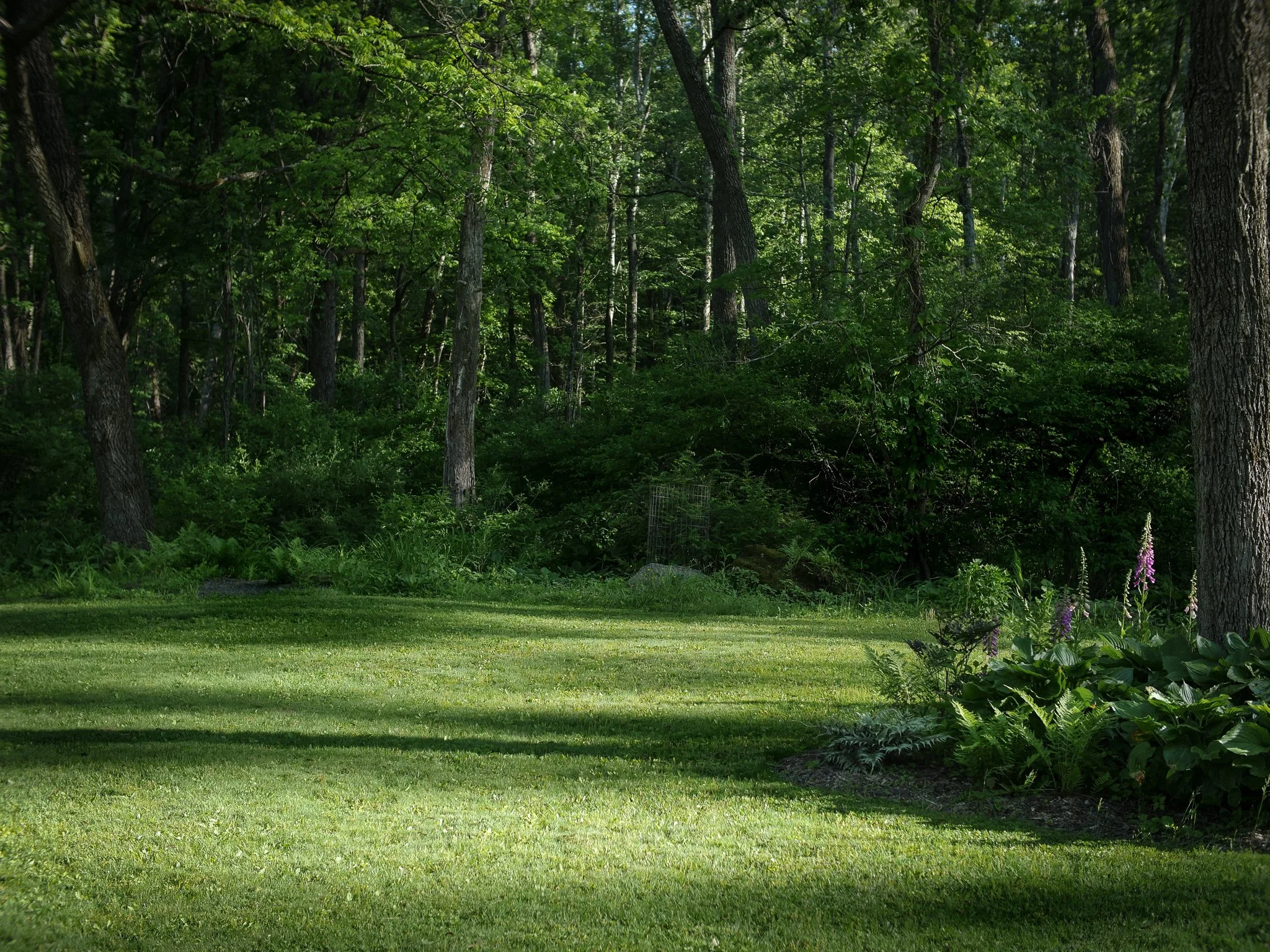 garden 08.jpg