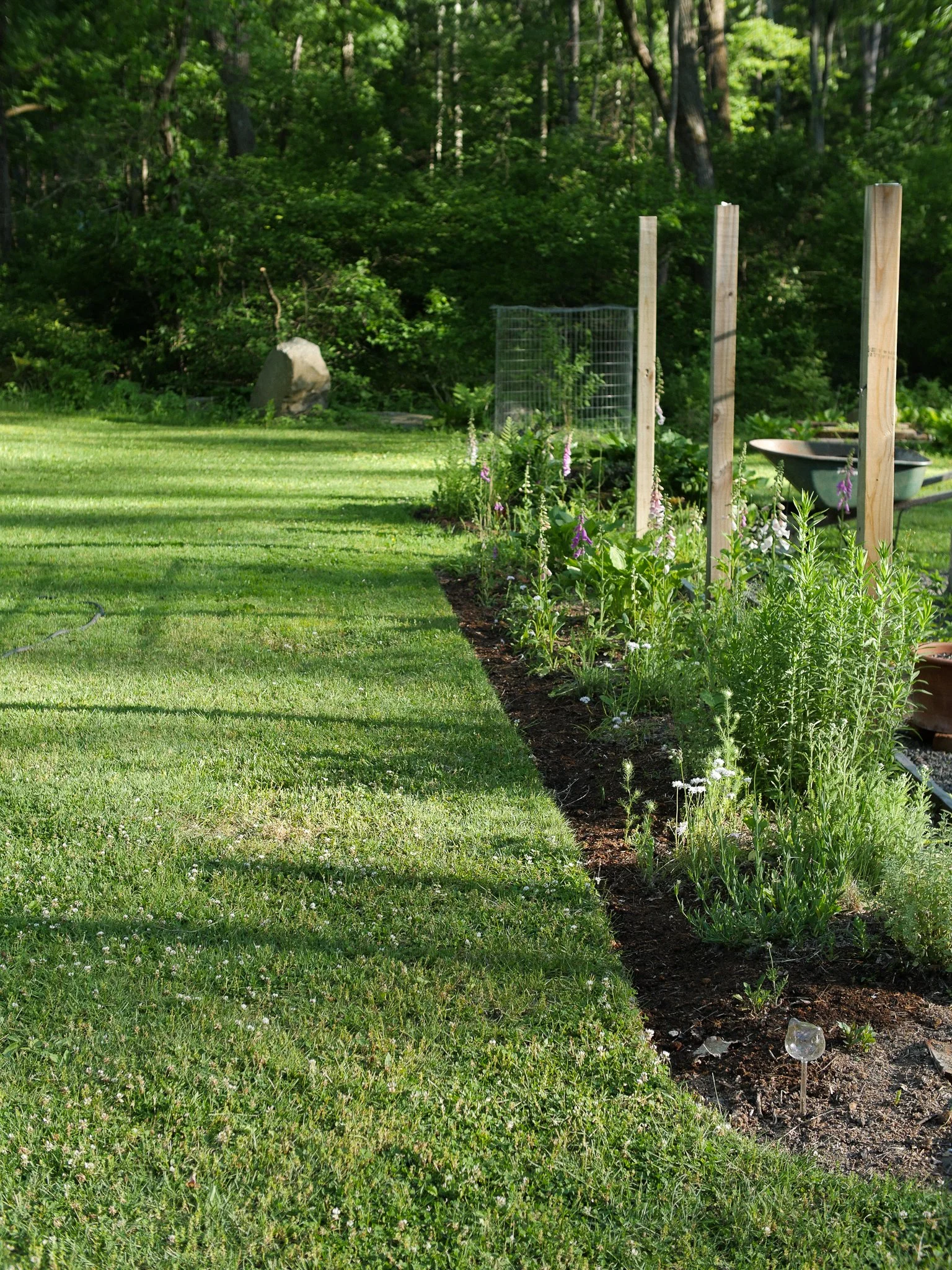 garden 06.jpg