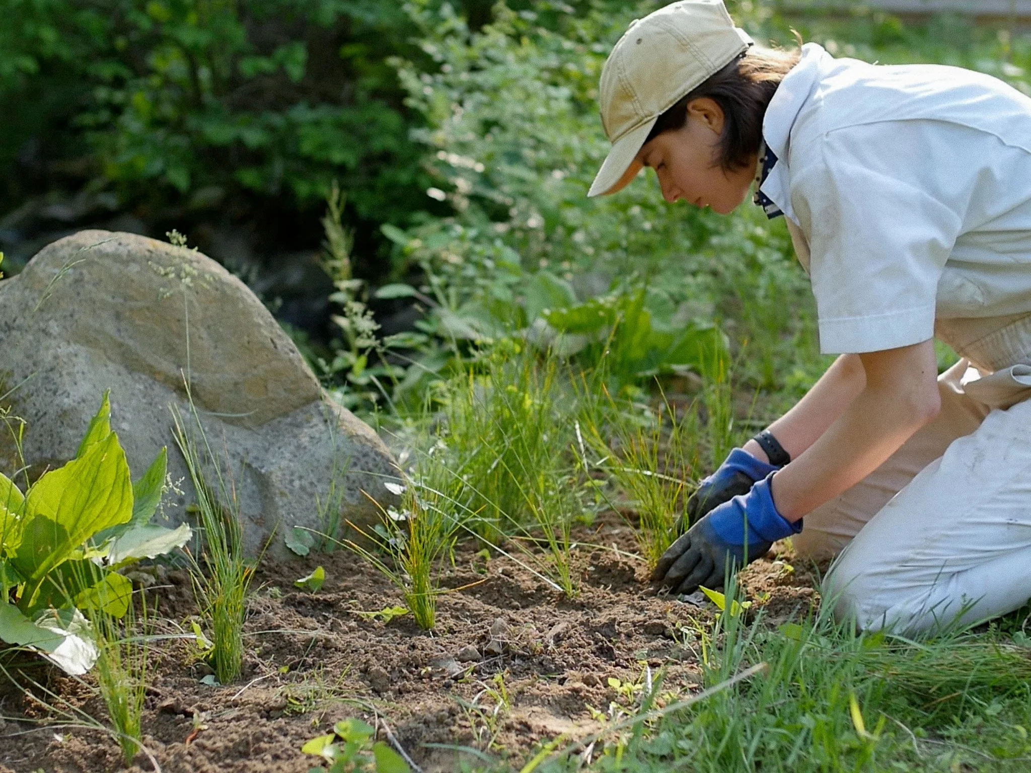 garden 21.jpg