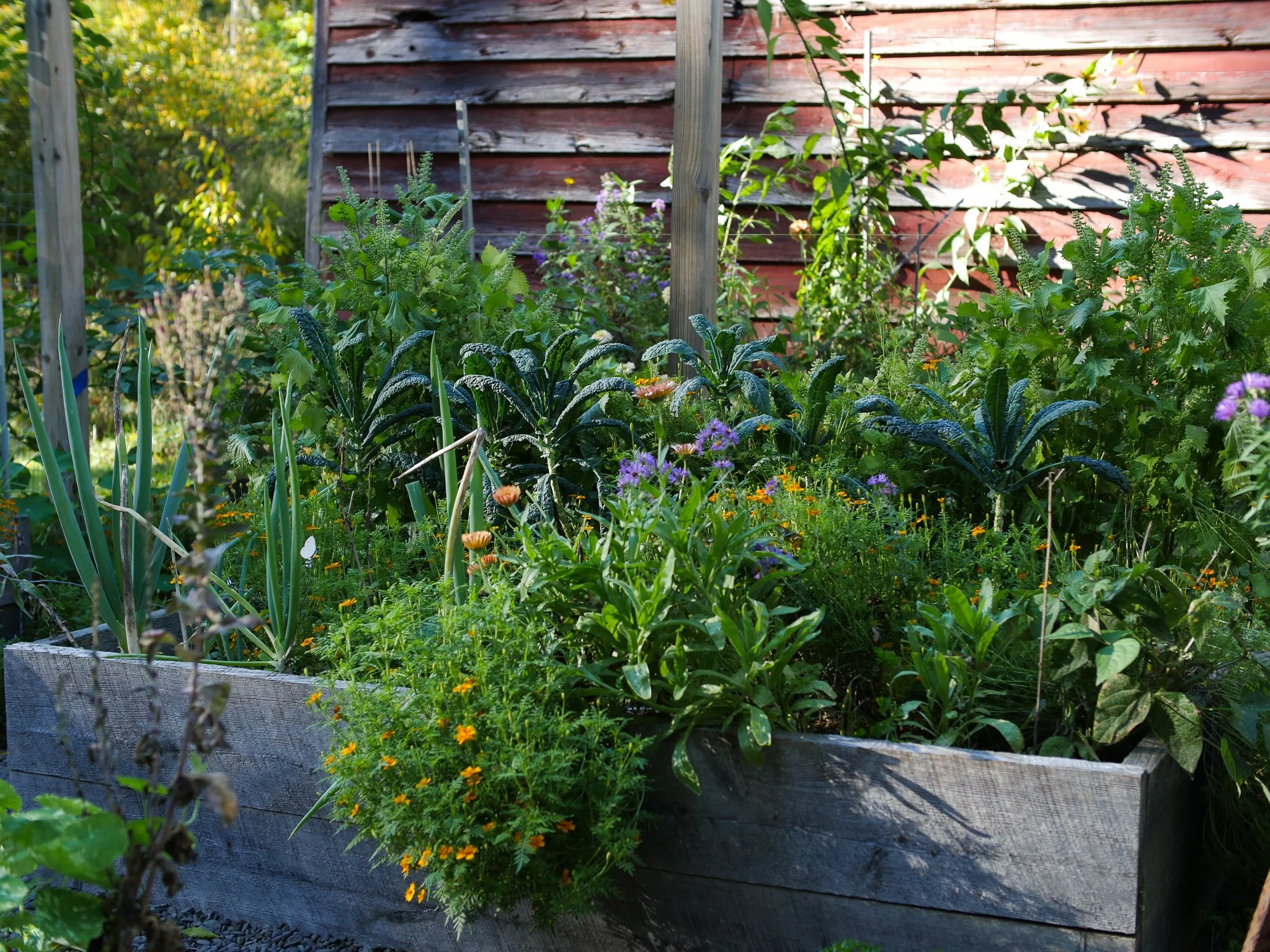 garden 29.jpg