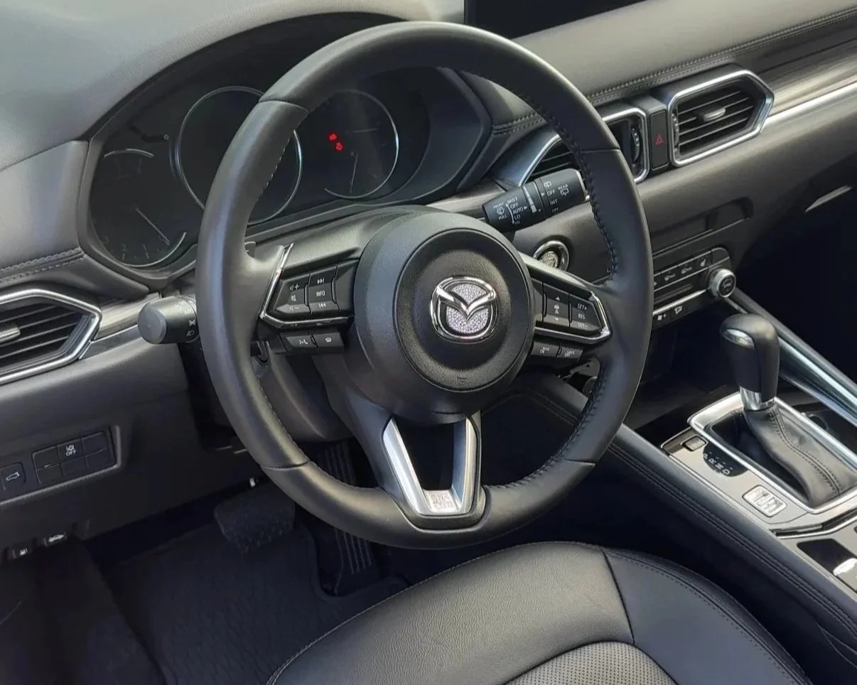 Car interior deep clean detail service northern Chicago suburbs IL