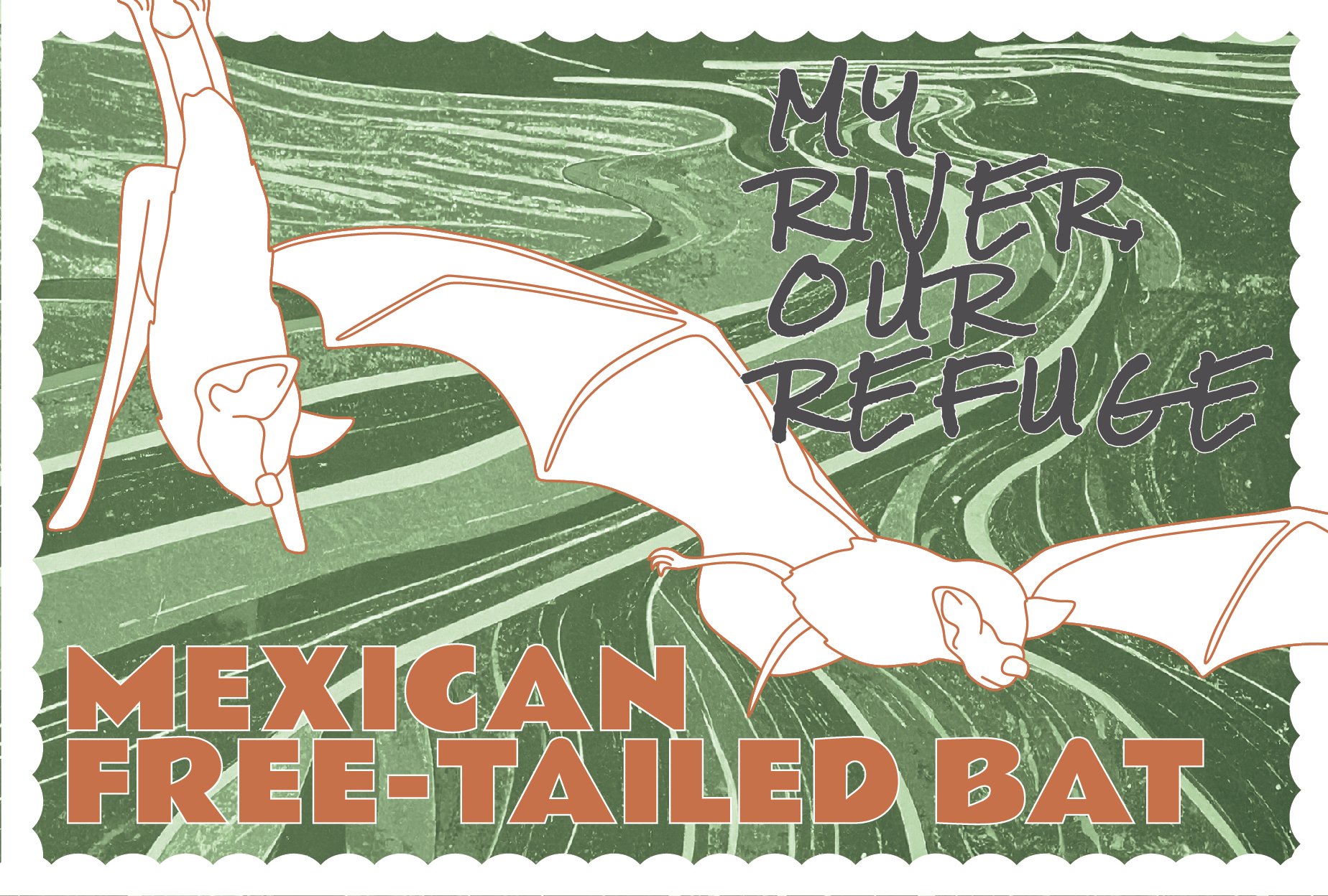 SCRefuge_Wildlife_Postcards_20260624-03.jpg