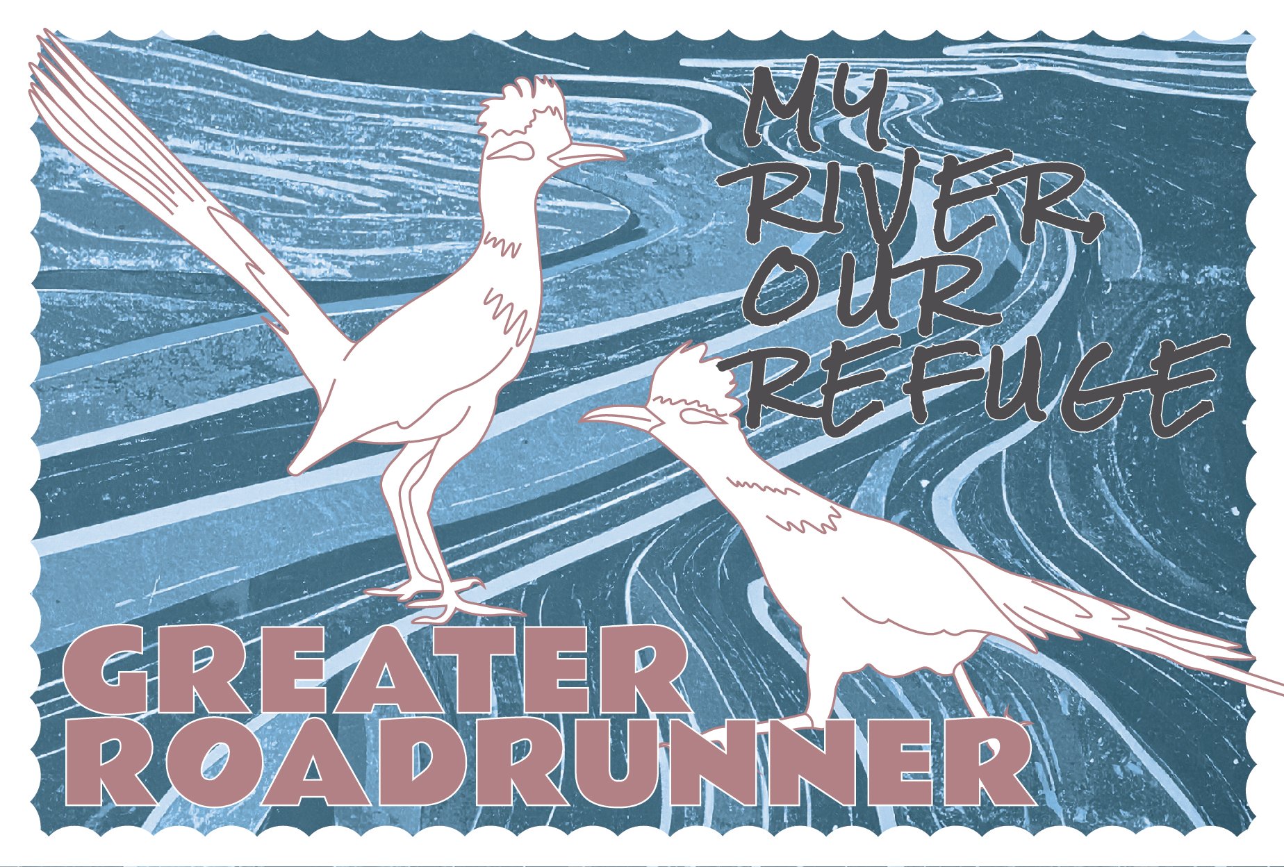 SCRefuge_Wildlife_Postcards_20260624-22.jpg